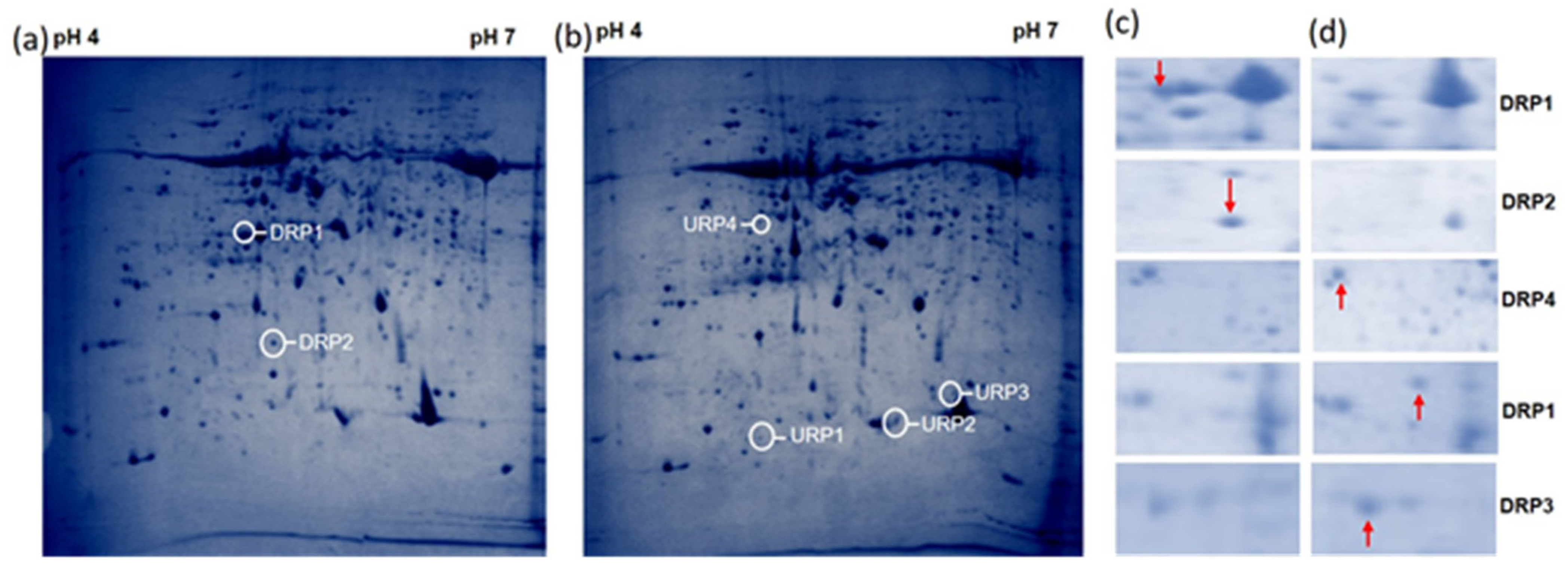 Bioengineering 09 00589 g005
