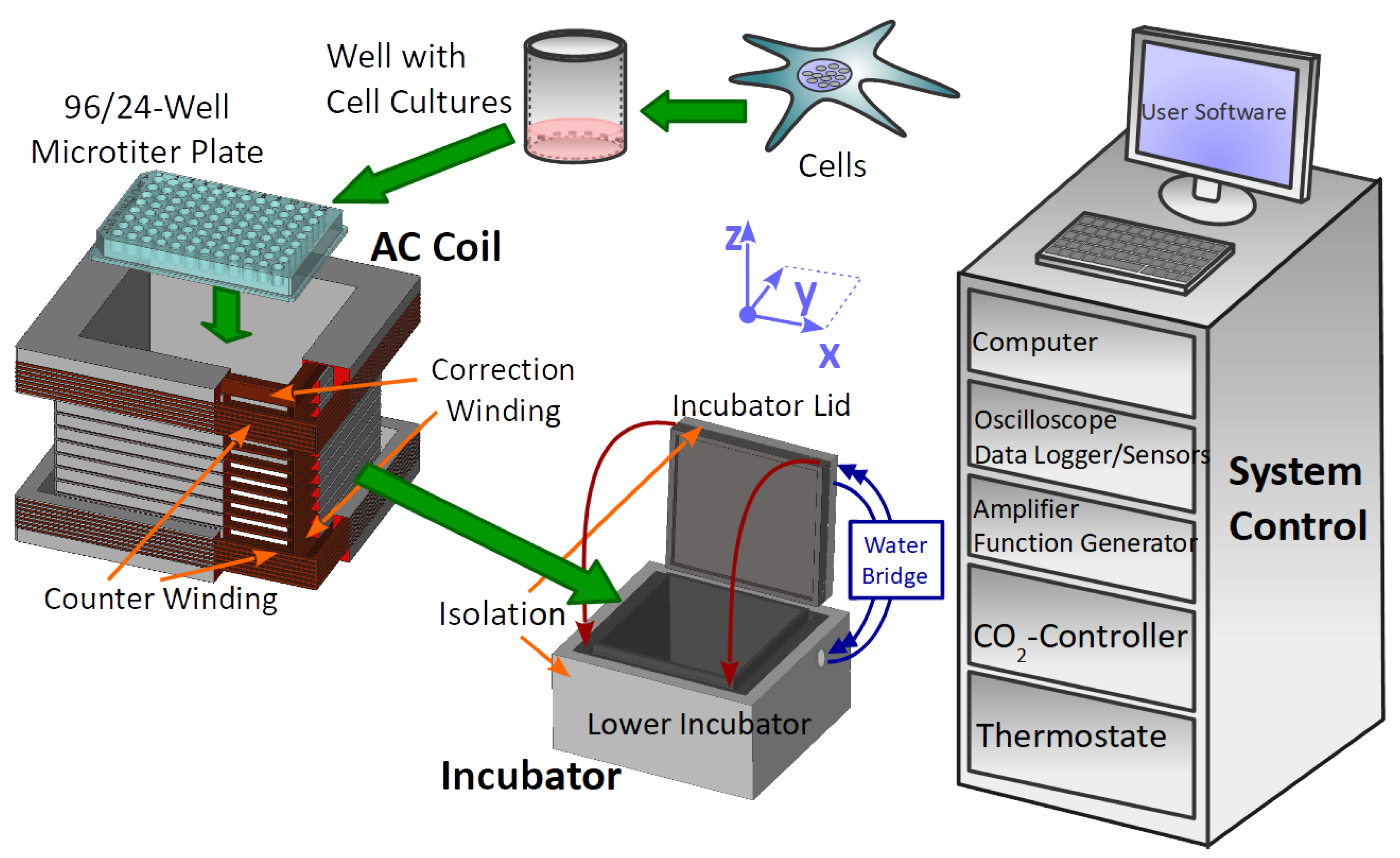 Bioengineering 09 00595 g001
