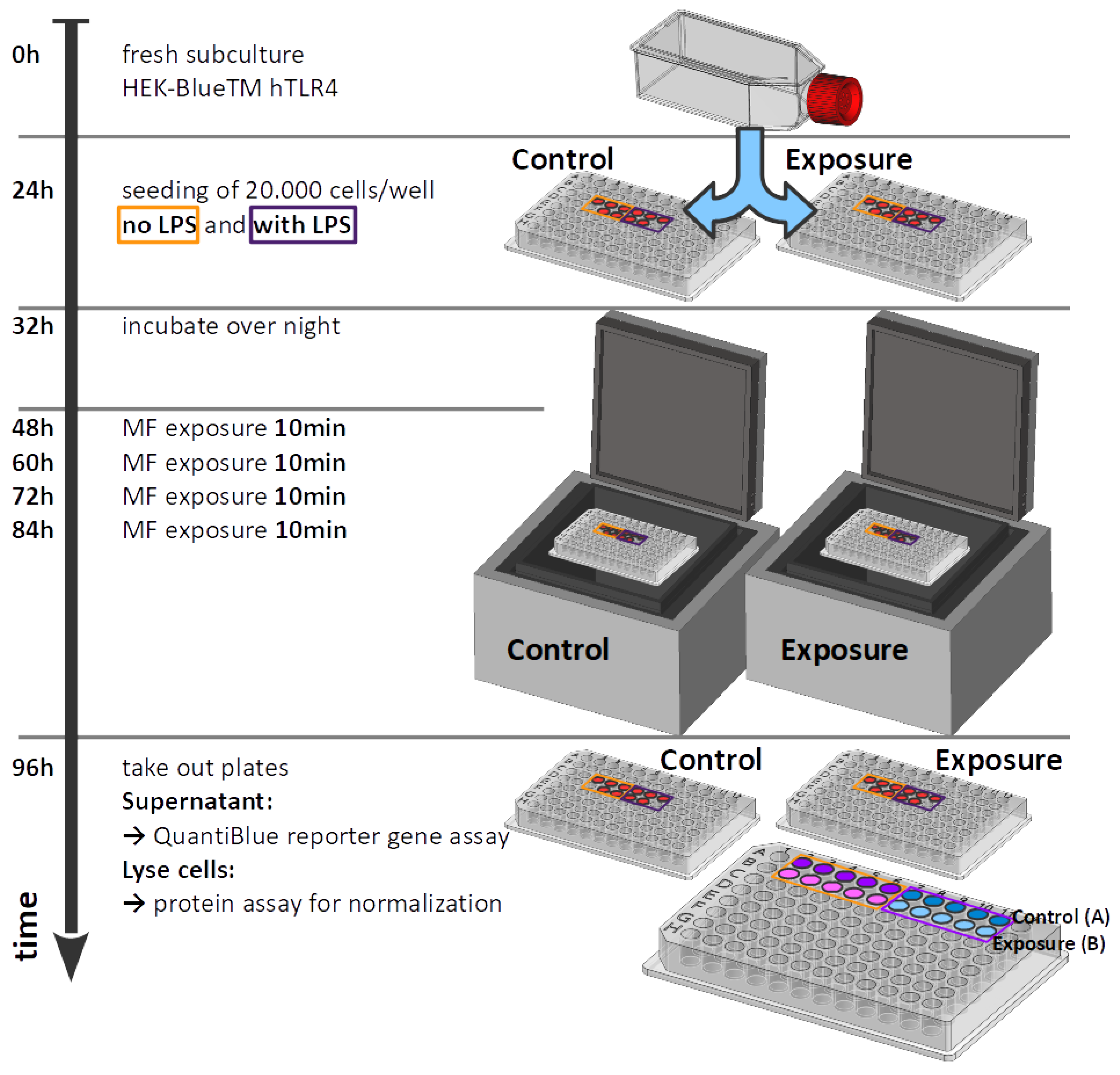 Bioengineering 09 00595 g003