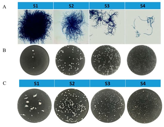 Bioengineering 09 00610 g0a2