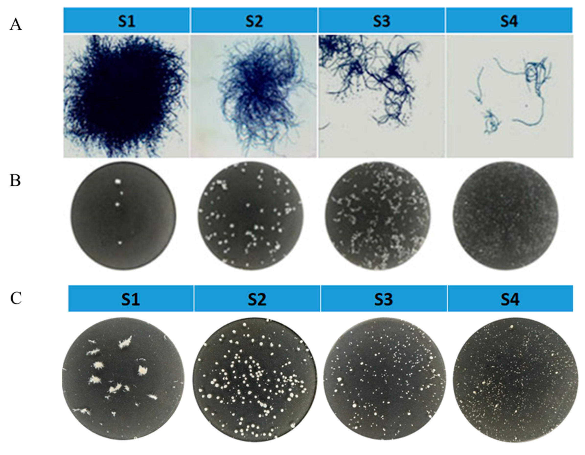 Bioengineering 09 00610 g0a2