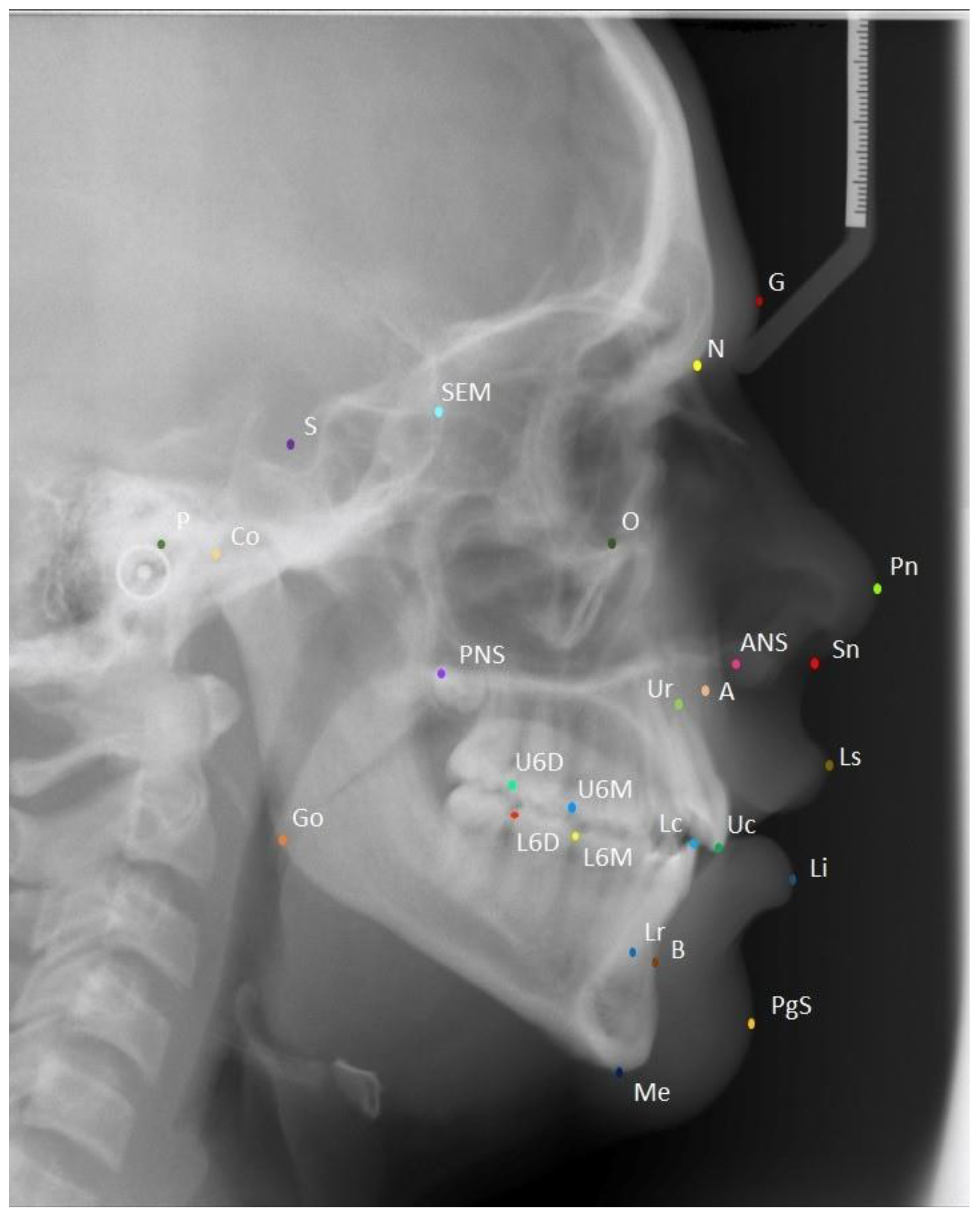 Bioengineering 09 00617 g001