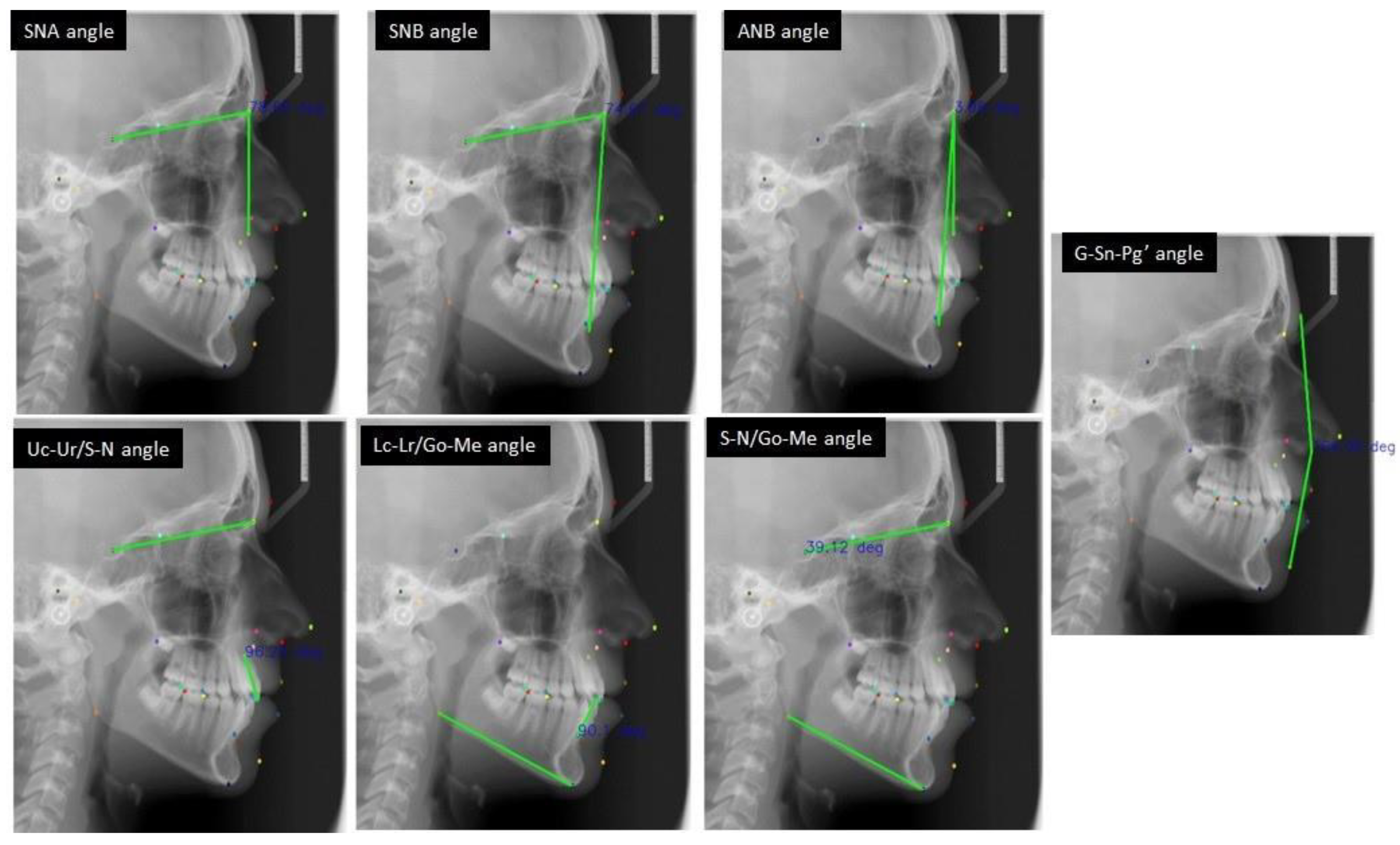 Bioengineering 09 00617 g002