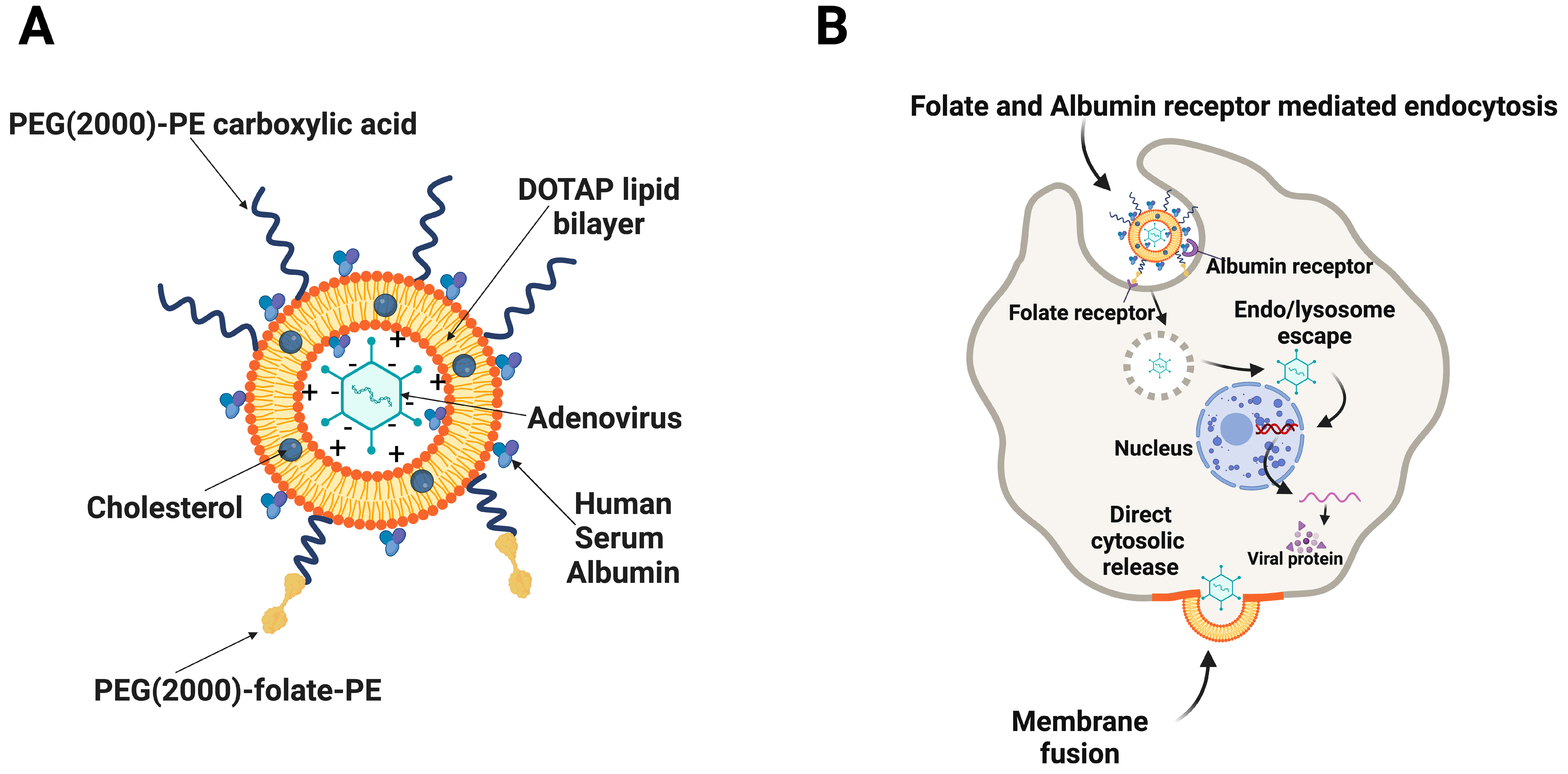 Bioengineering 09 00620 g001 Bioengineering 09 00620 g001