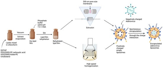 Bioengineering 09 00620 g002