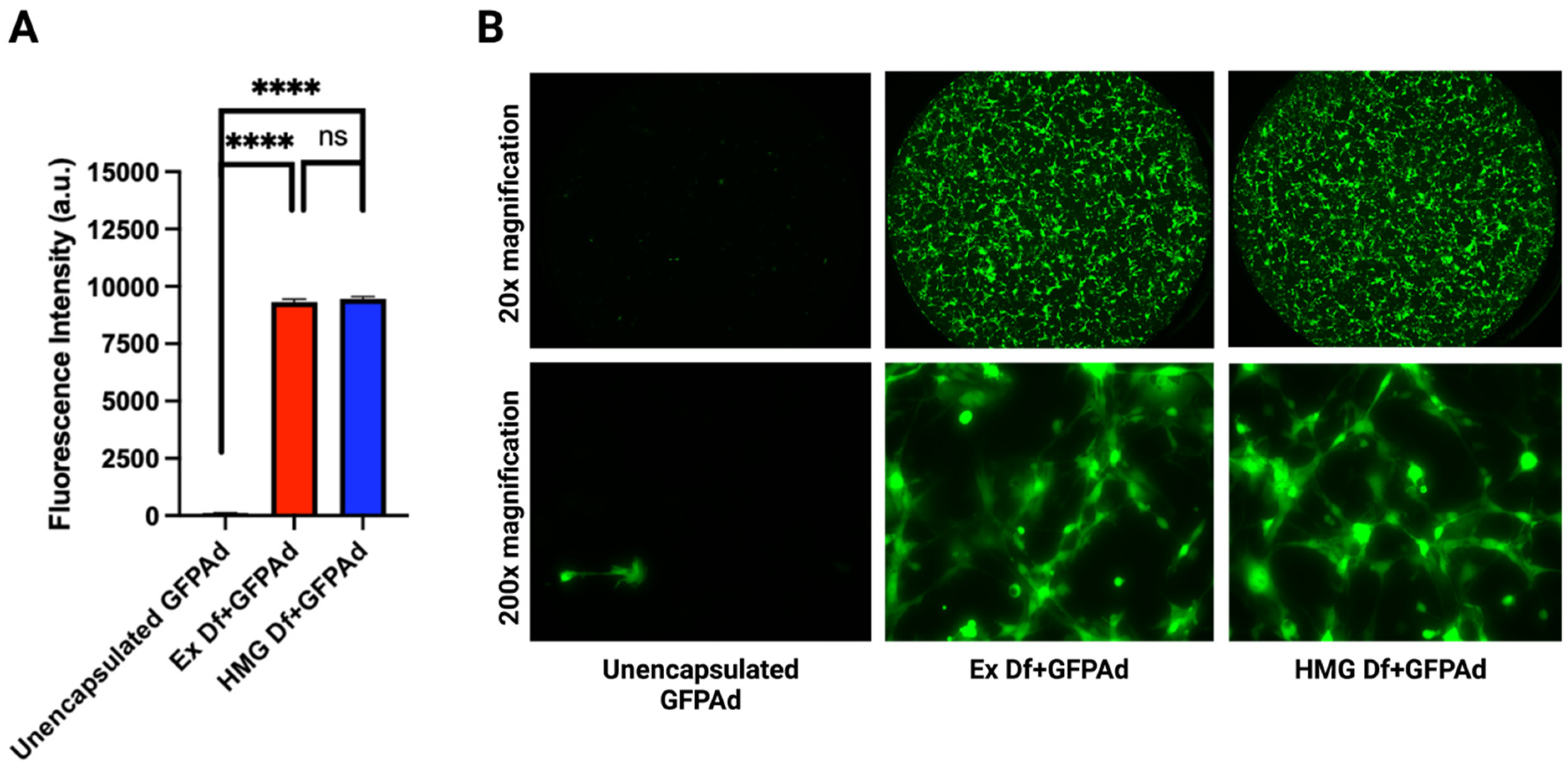 Bioengineering 09 00620 g004 Bioengineering 09 00620 g004