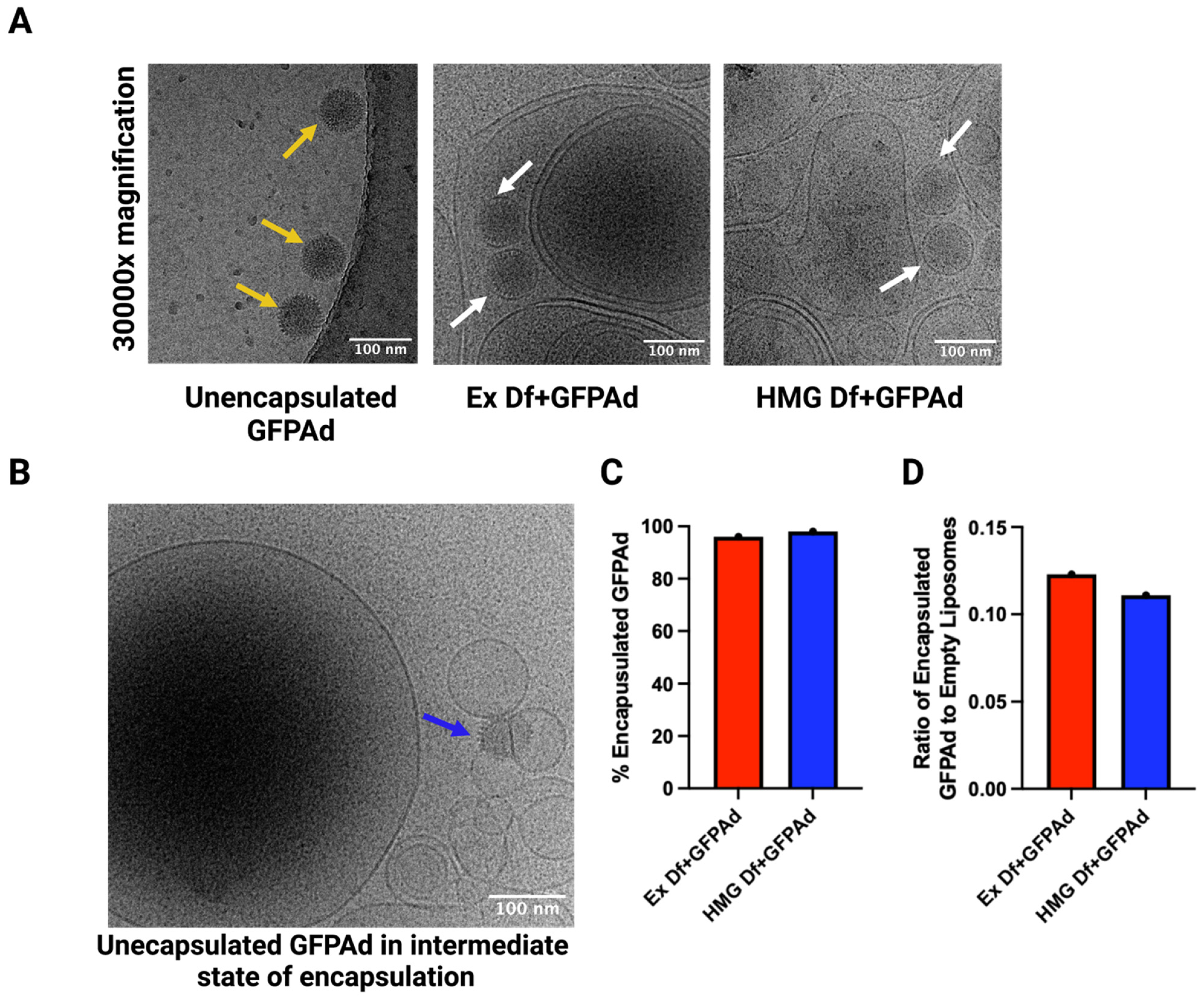 Bioengineering 09 00620 g005 Bioengineering 09 00620 g005
