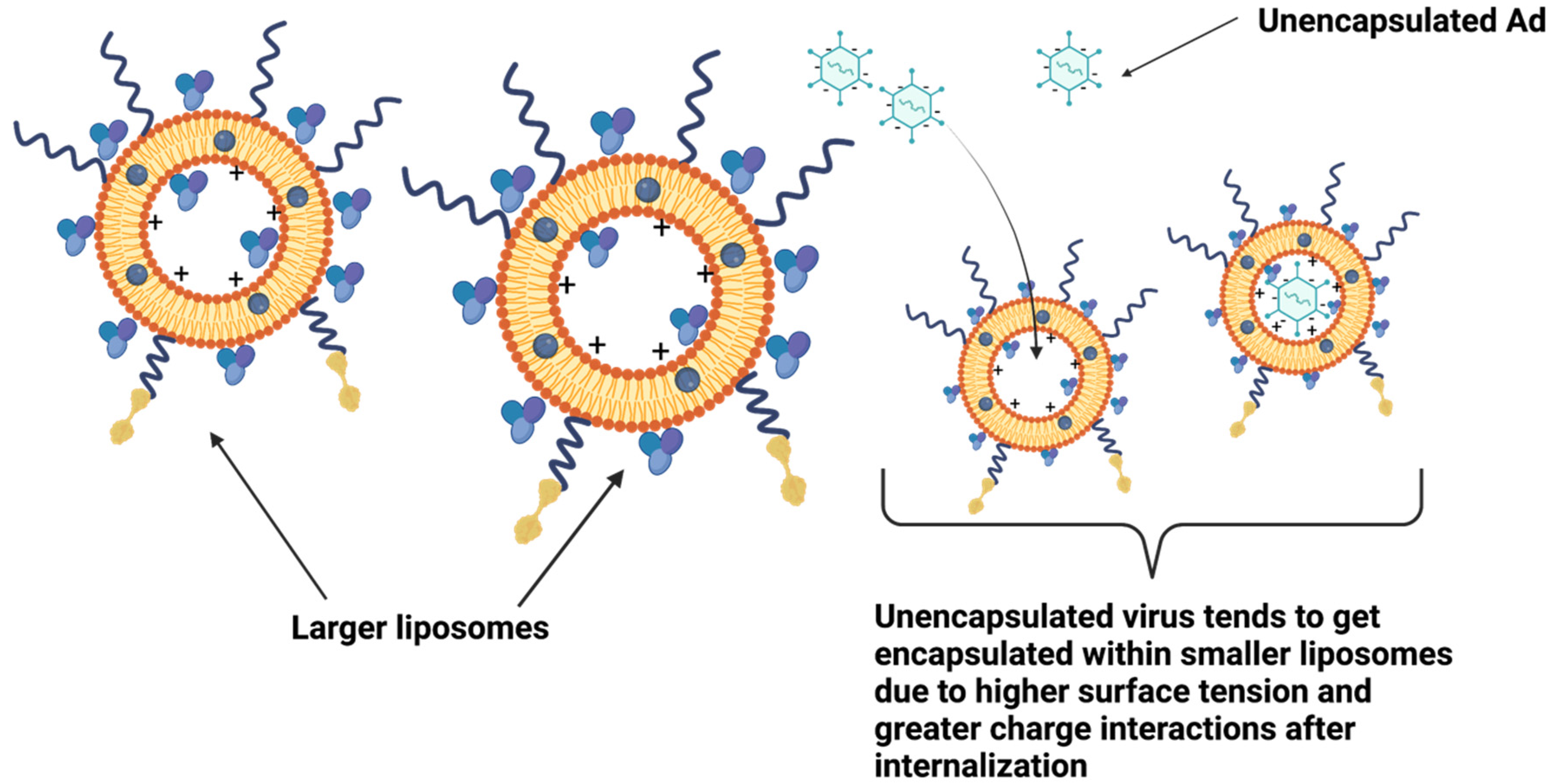 Bioengineering 09 00620 g009 Bioengineering 09 00620 g009