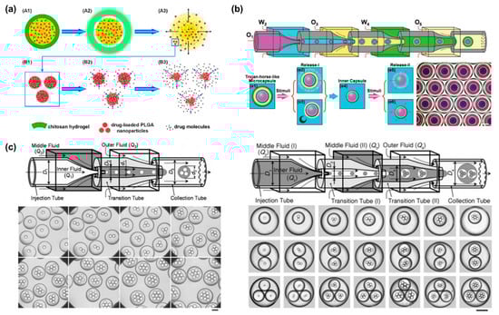 Bioengineering 09 00625 g004