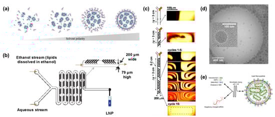 Bioengineering 09 00625 g005