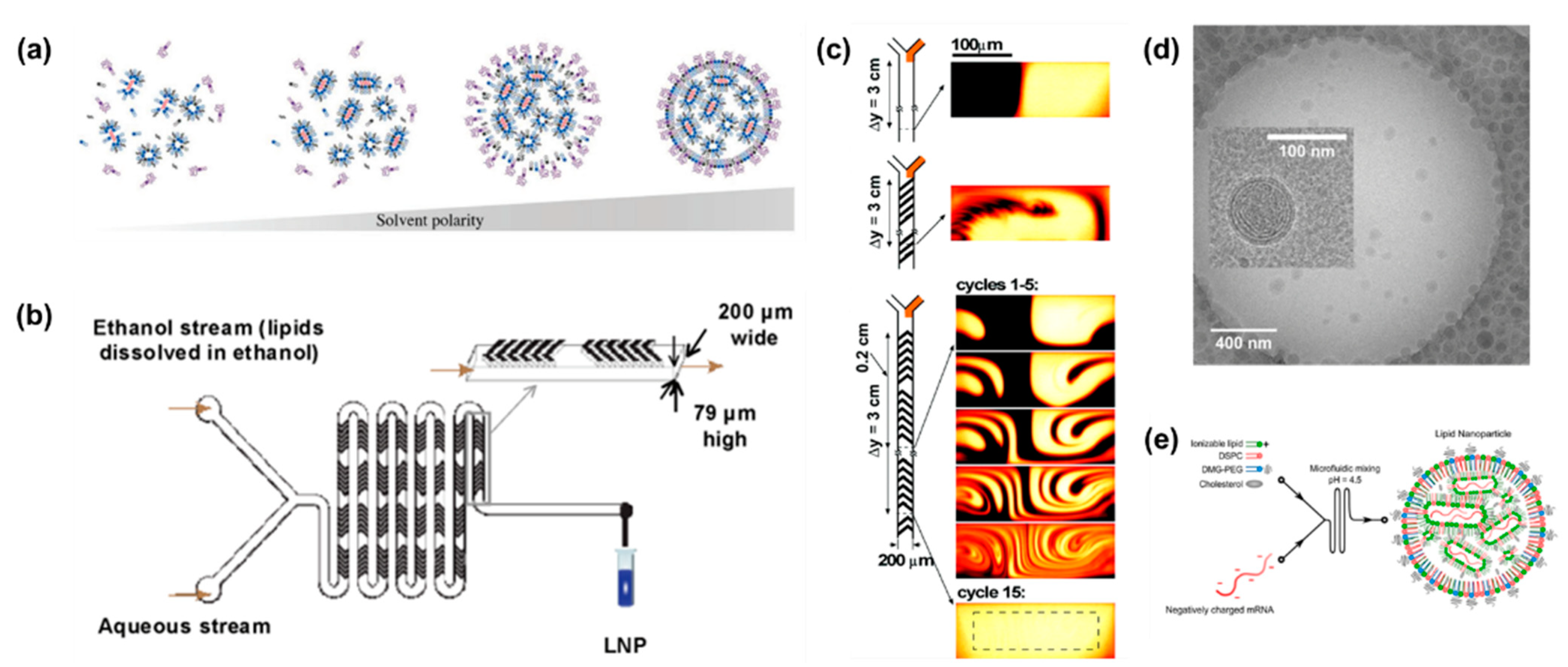 Bioengineering 09 00625 g005