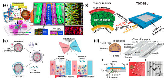 Bioengineering 09 00625 g007