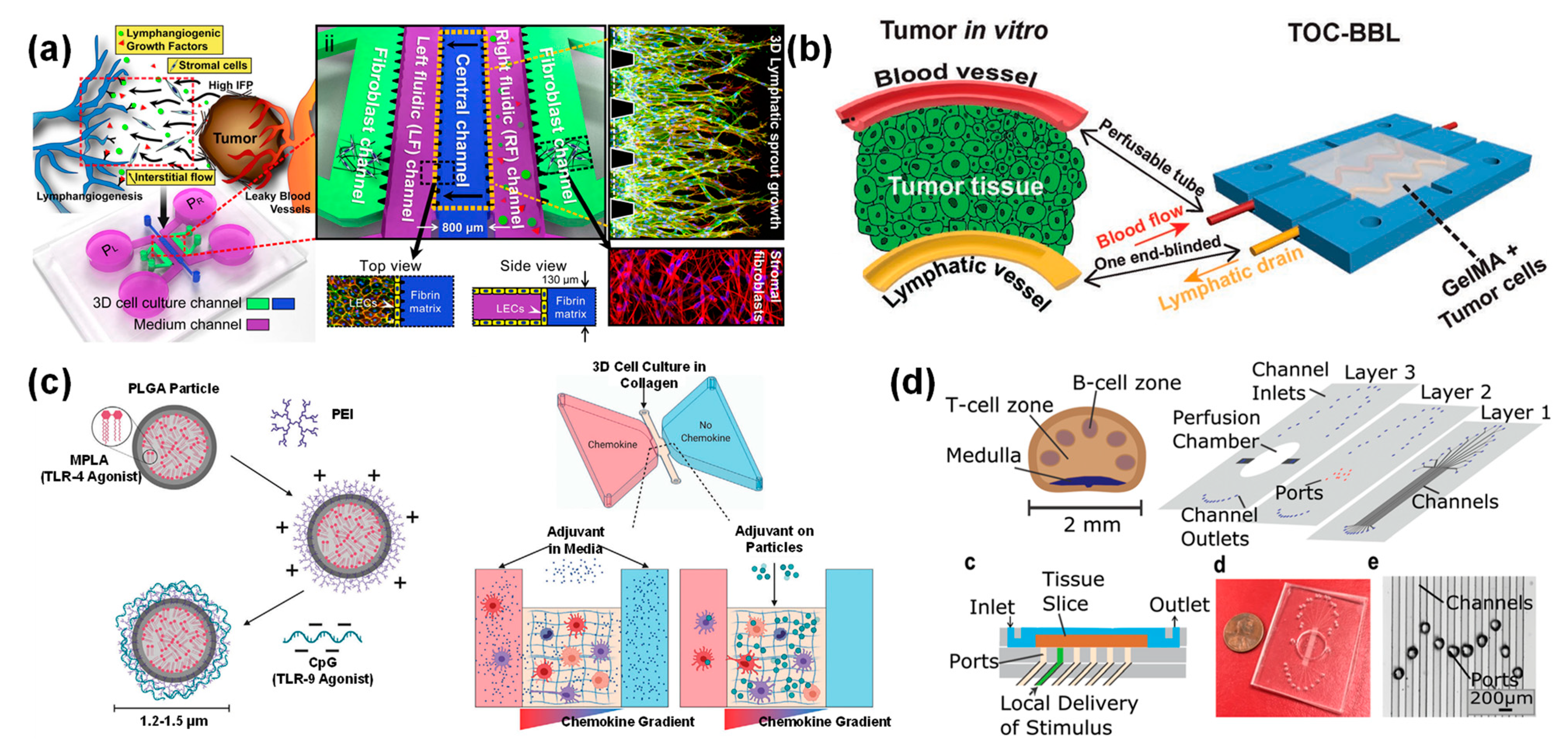 Bioengineering 09 00625 g007