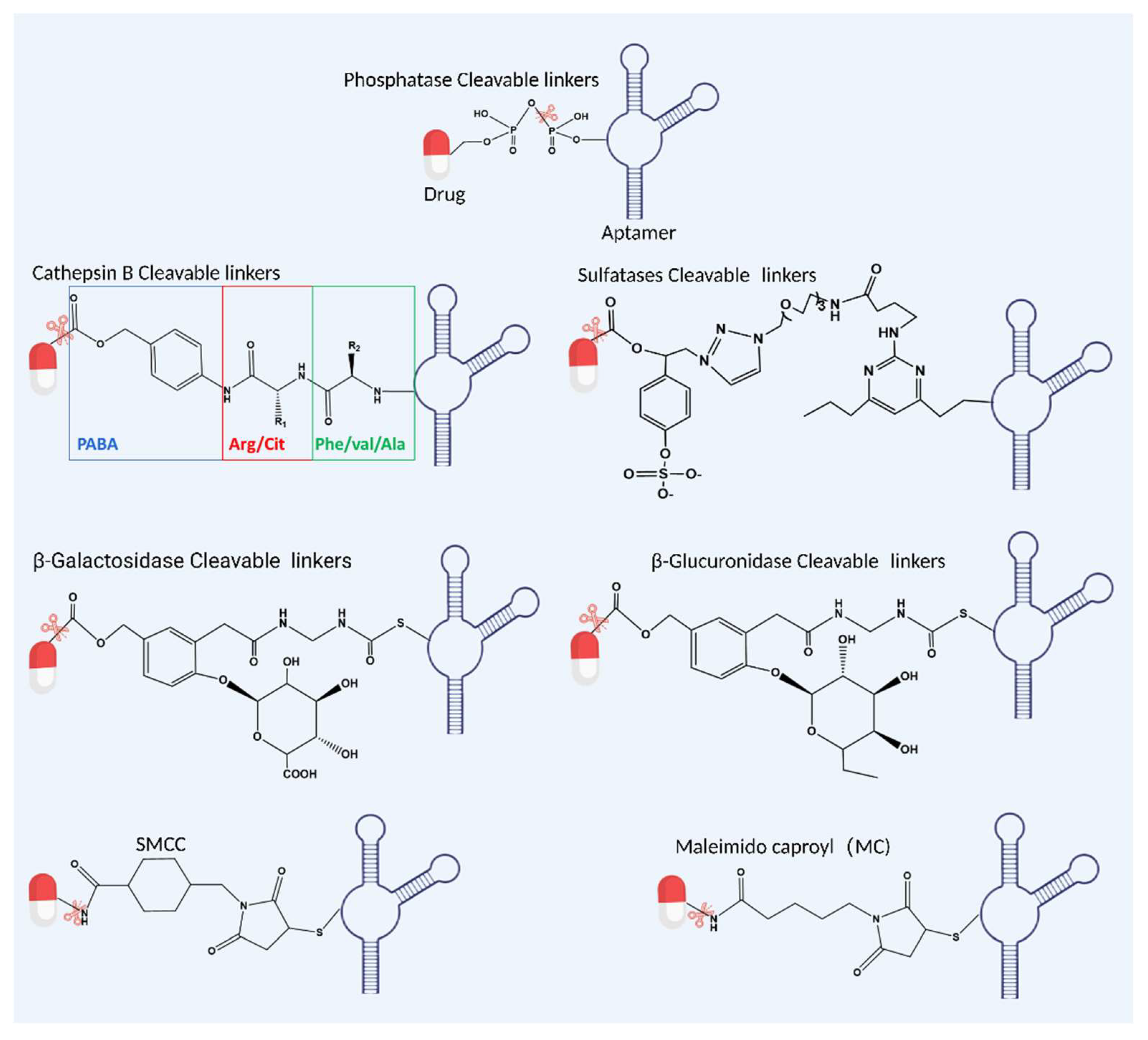 Bioengineering 09 00635 g002
