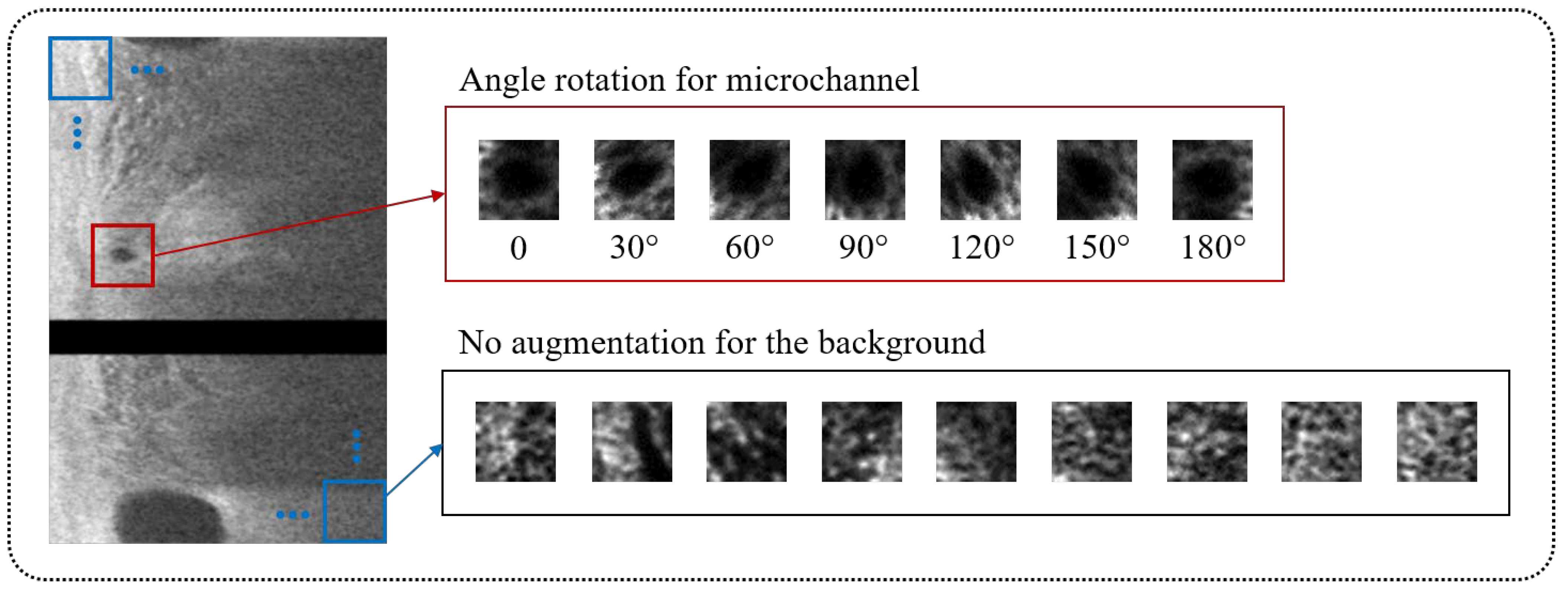 Bioengineering 09 00648 g003