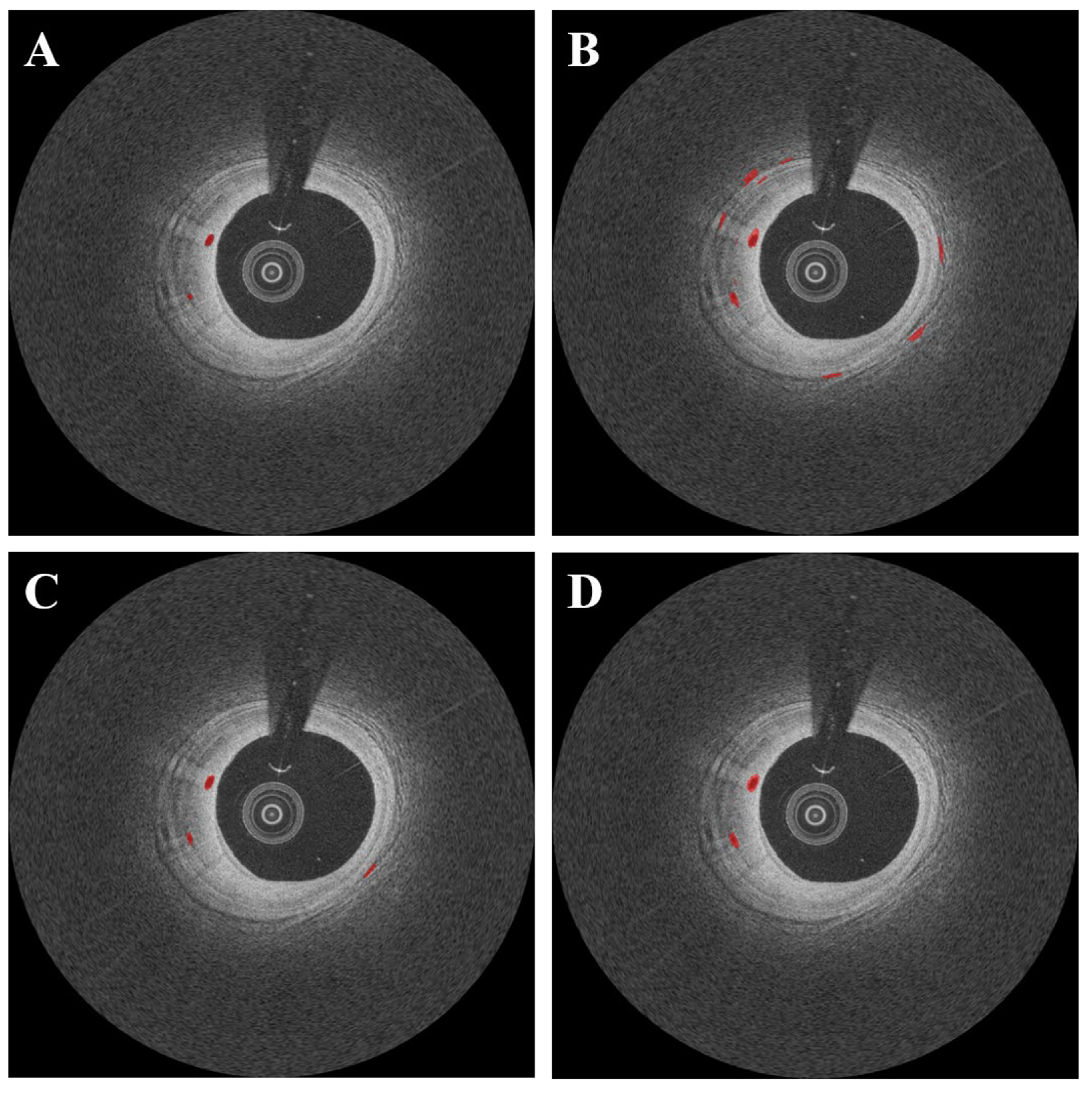 Bioengineering 09 00648 g007