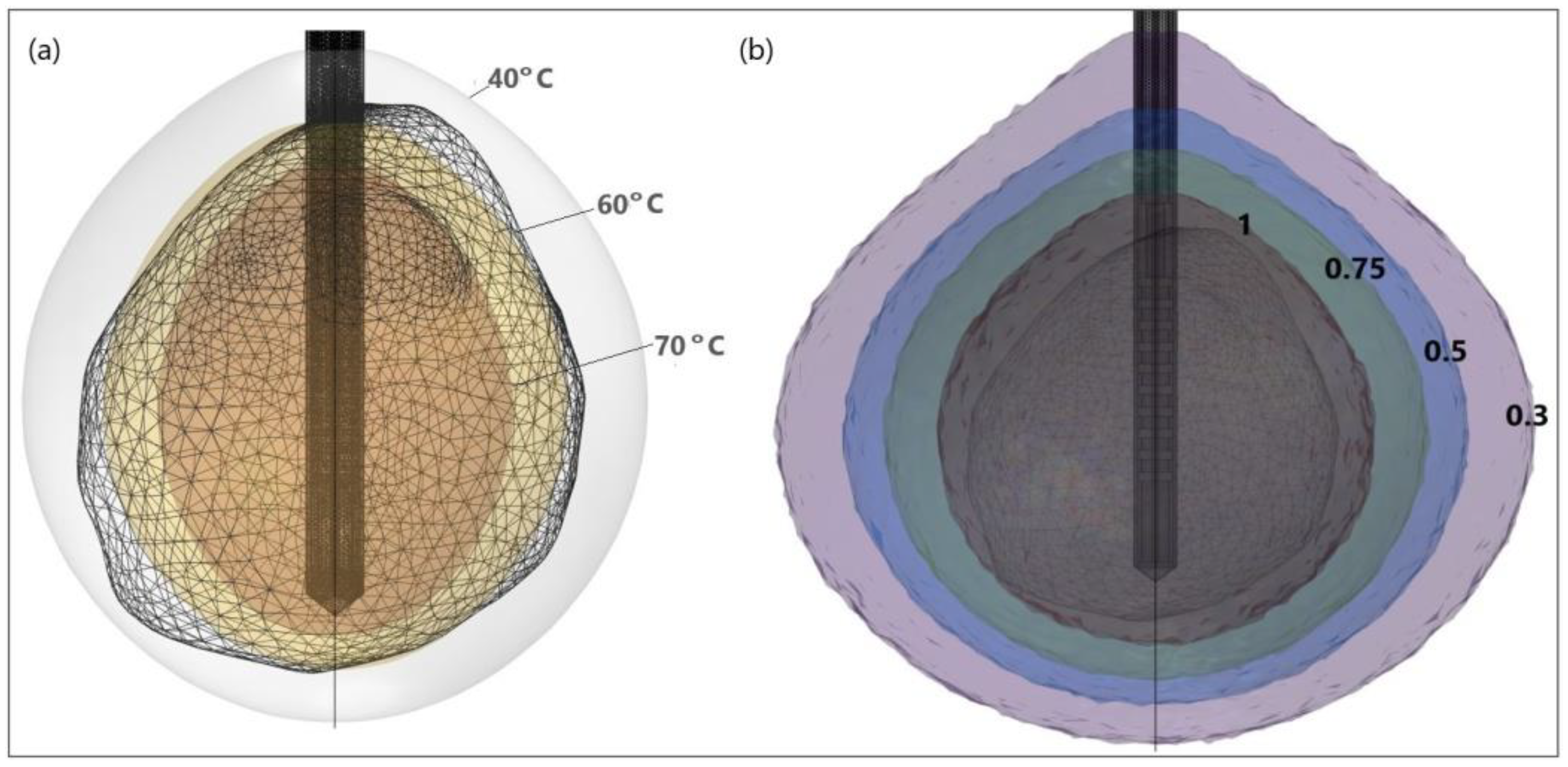 Bioengineering 09 00656 g016