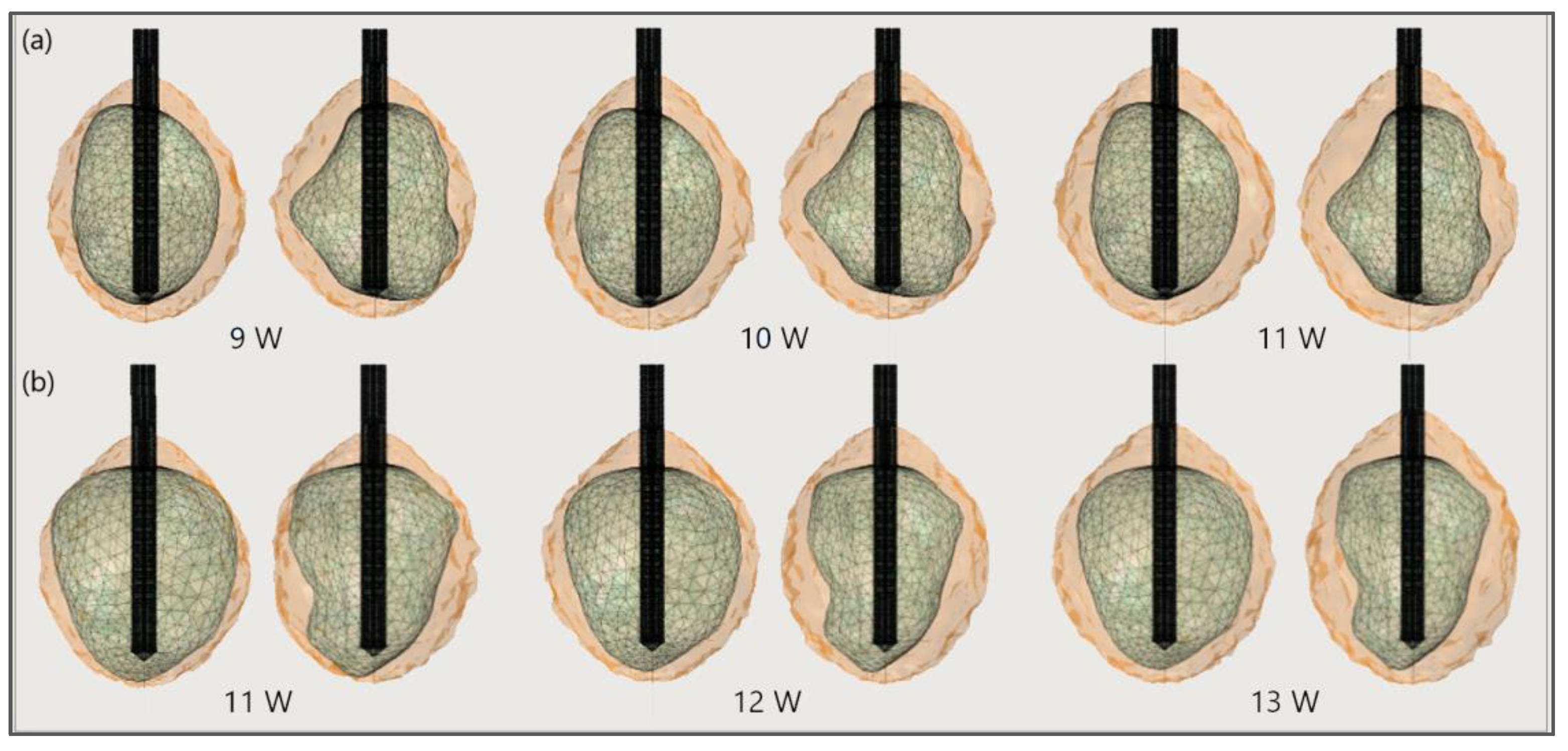 Bioengineering 09 00656 g018