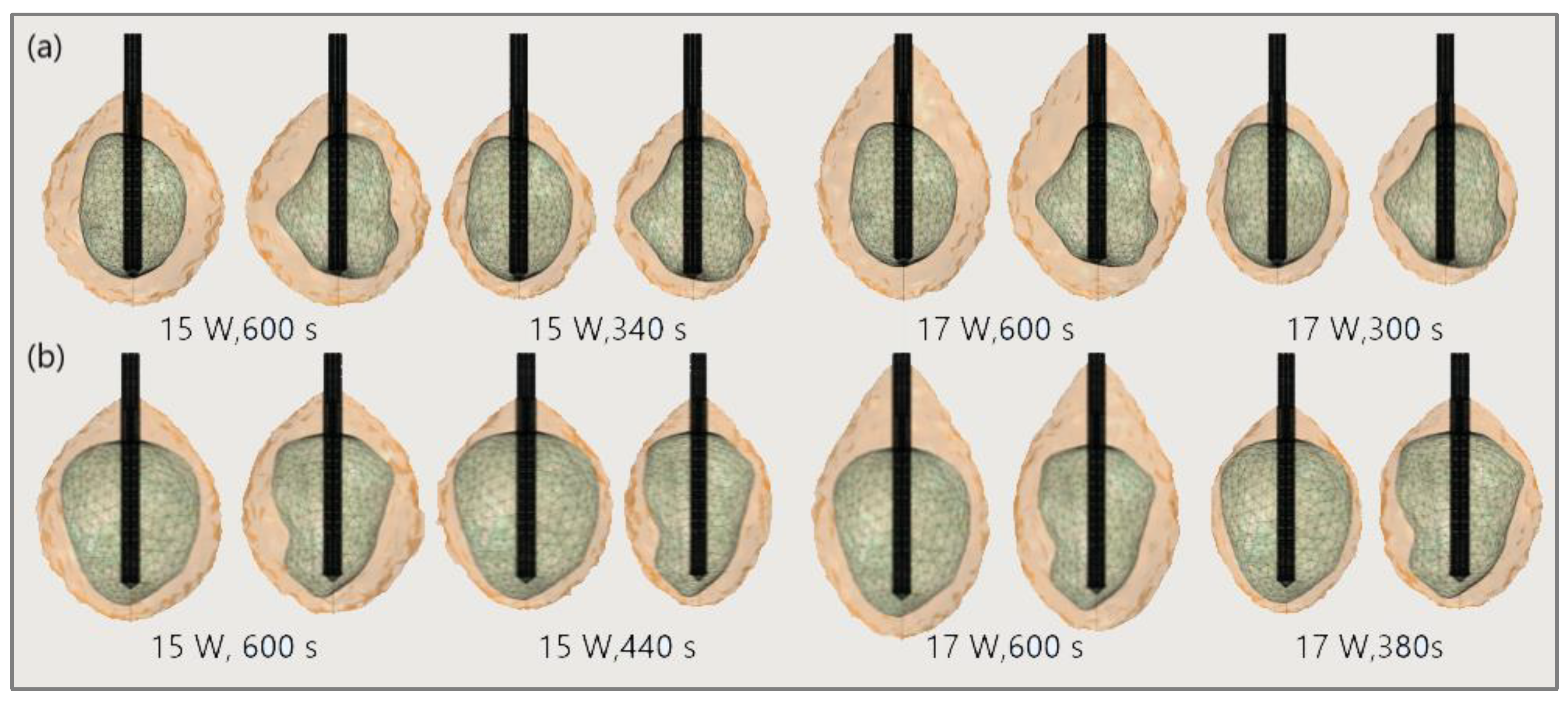 Bioengineering 09 00656 g019