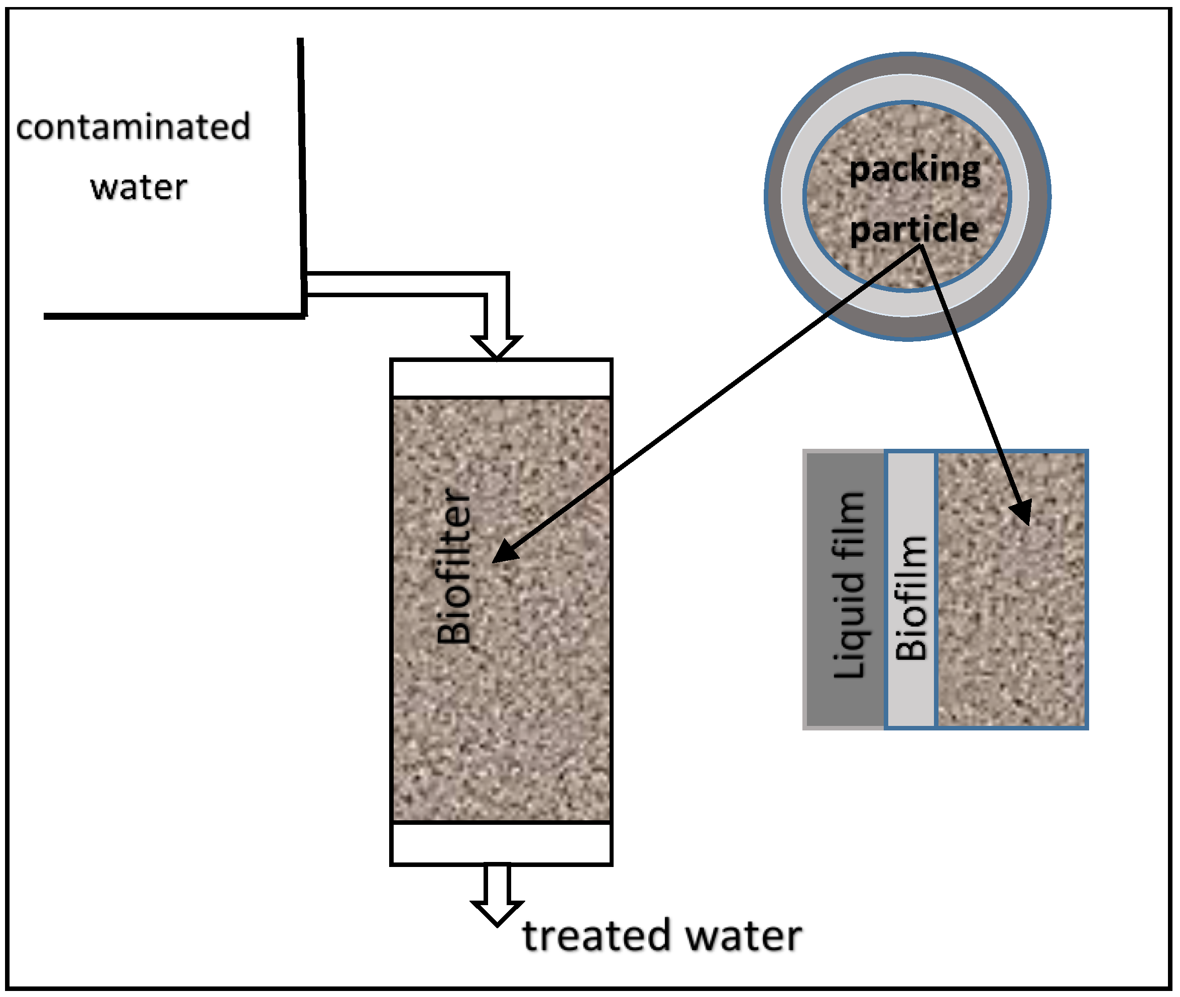 Bioengineering 09 00657 g001