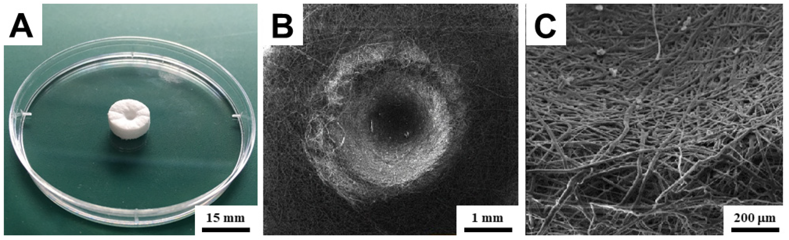 Bioengineering 09 00660 g003 Bioengineering 09 00660 g003