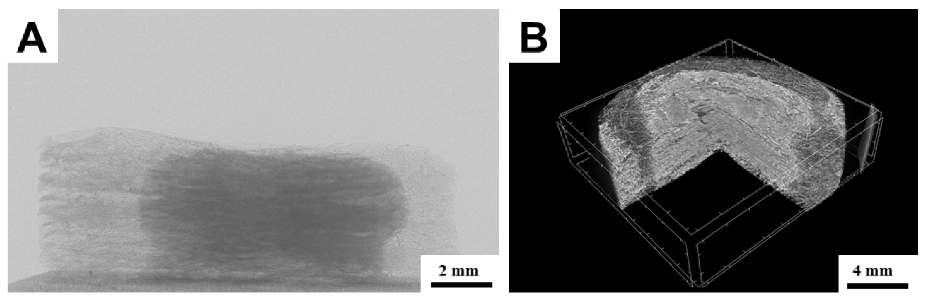 Bioengineering 09 00660 g011 Bioengineering 09 00660 g011