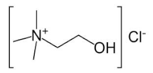 Bioengineering 09 00665 i001 Bioengineering 09 00665 i001