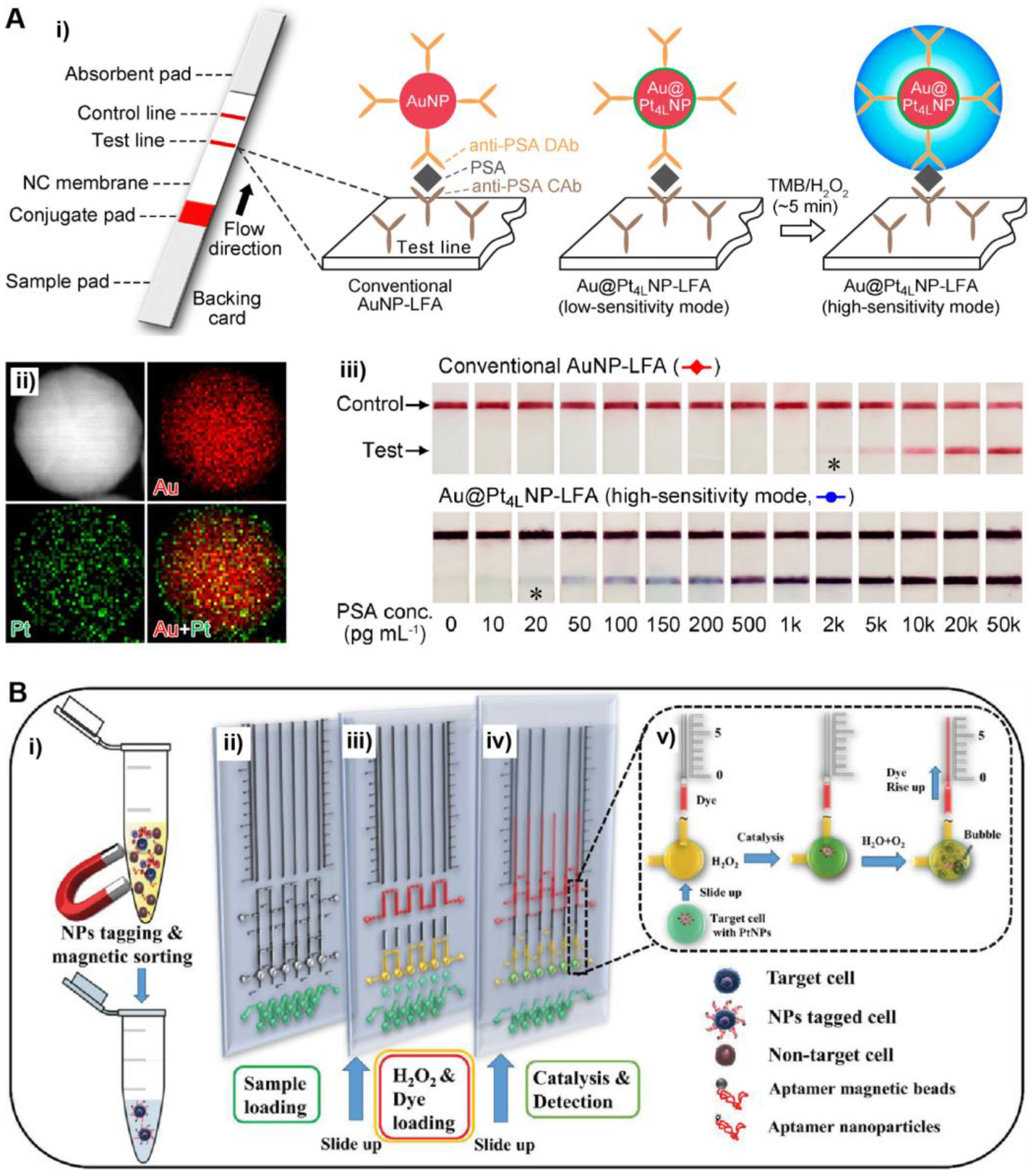 Bioengineering 09 00666 g003