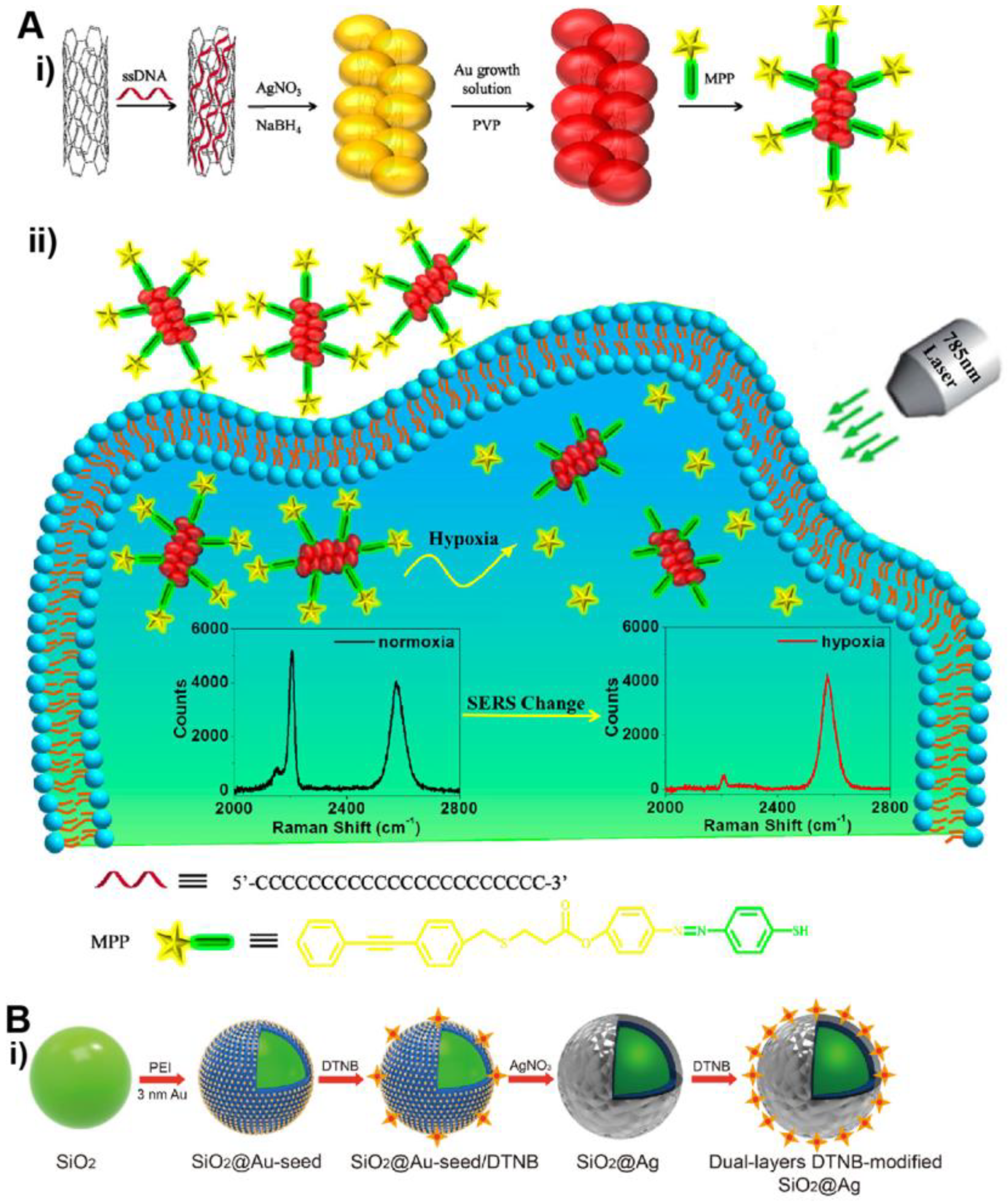 Bioengineering 09 00666 g006a