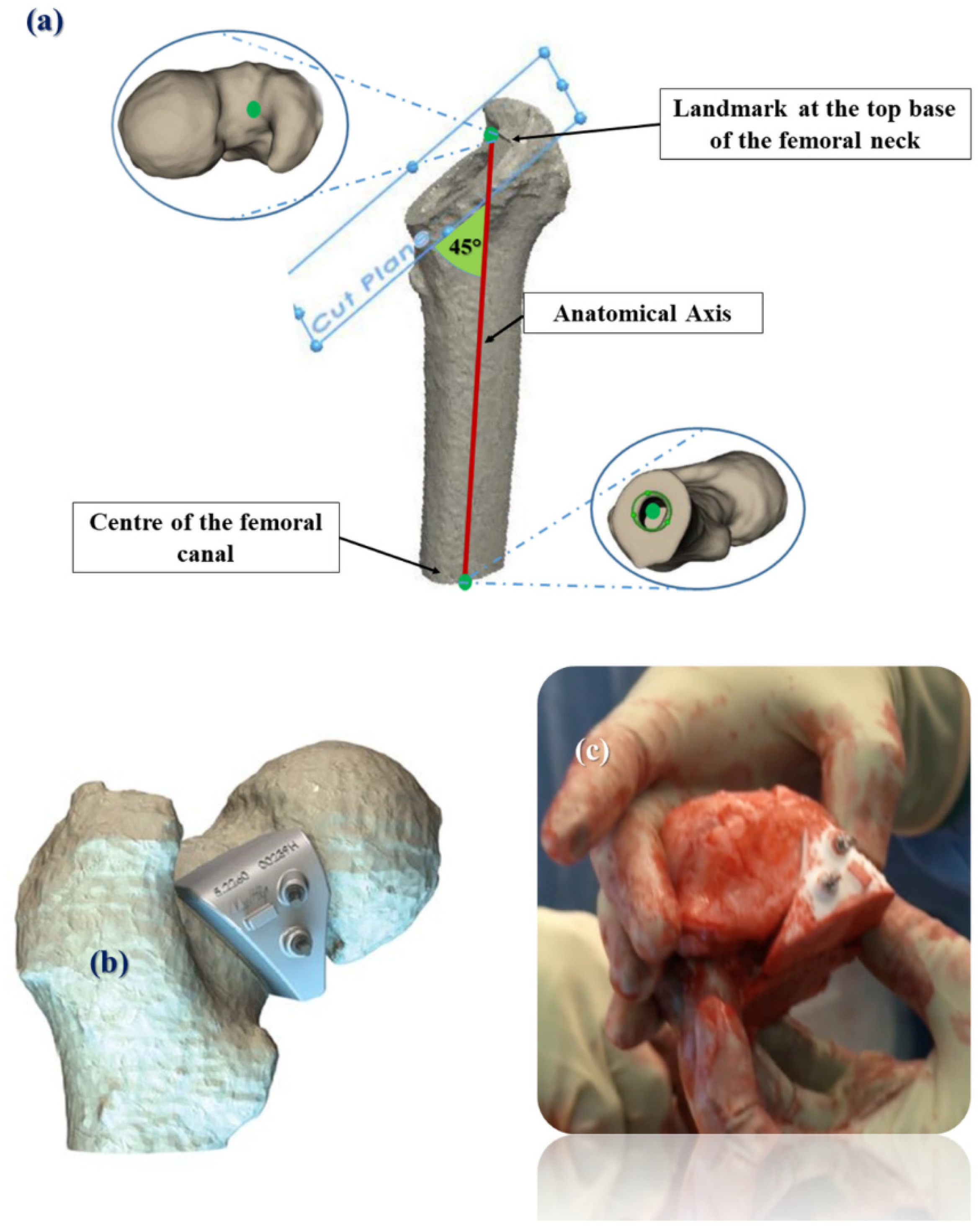 Bioengineering 09 00667 g002 Bioengineering 09 00667 g002