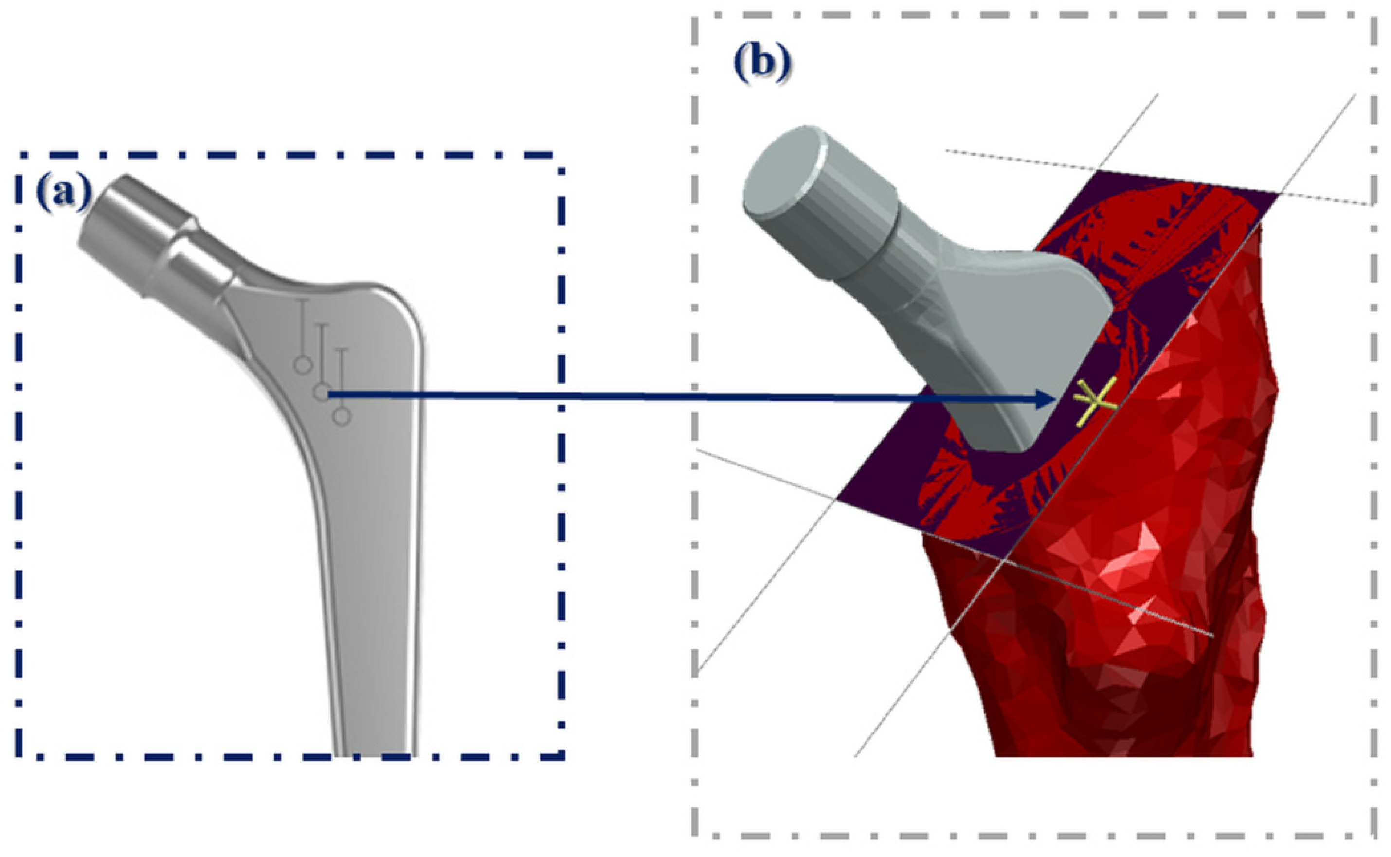 Bioengineering 09 00667 g003 Bioengineering 09 00667 g003