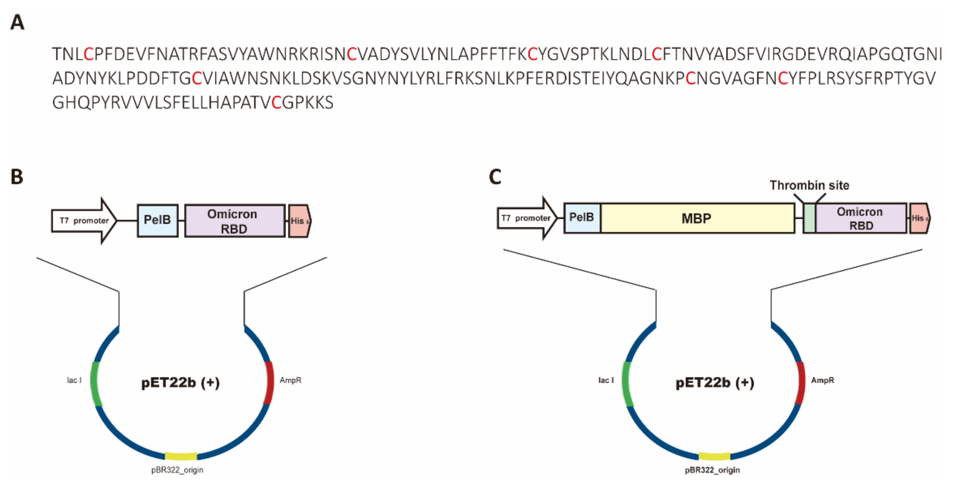 Bioengineering 09 00670 g001