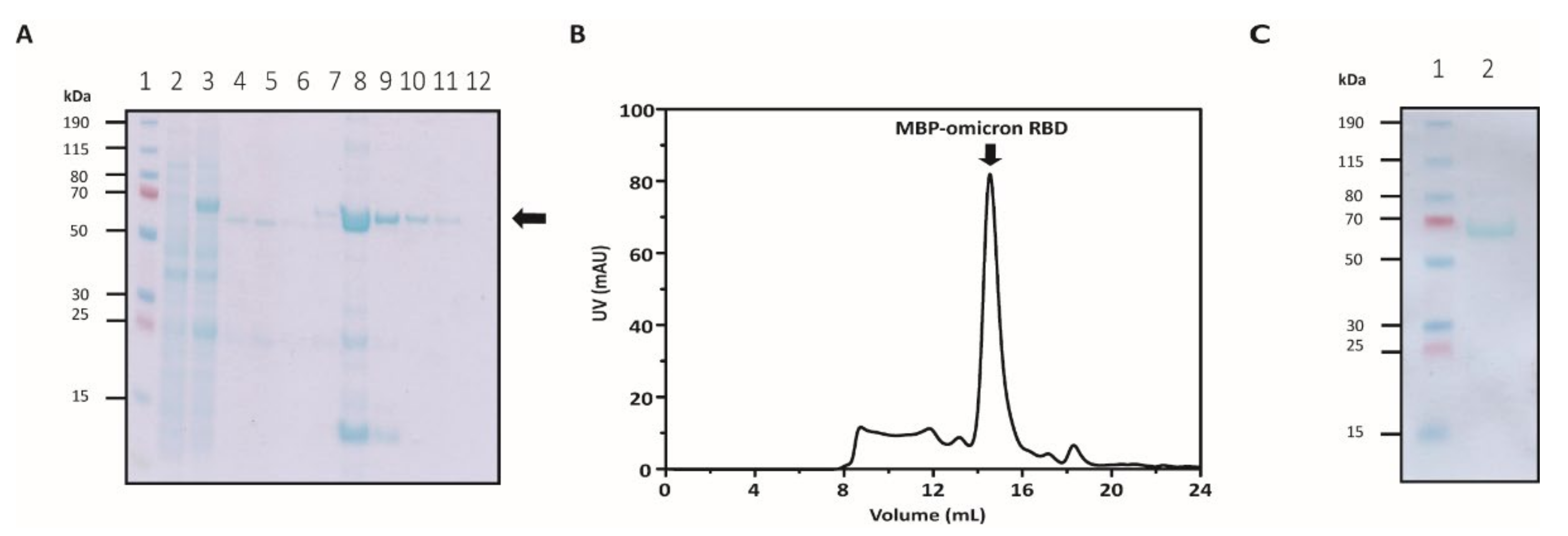 Bioengineering 09 00670 g003