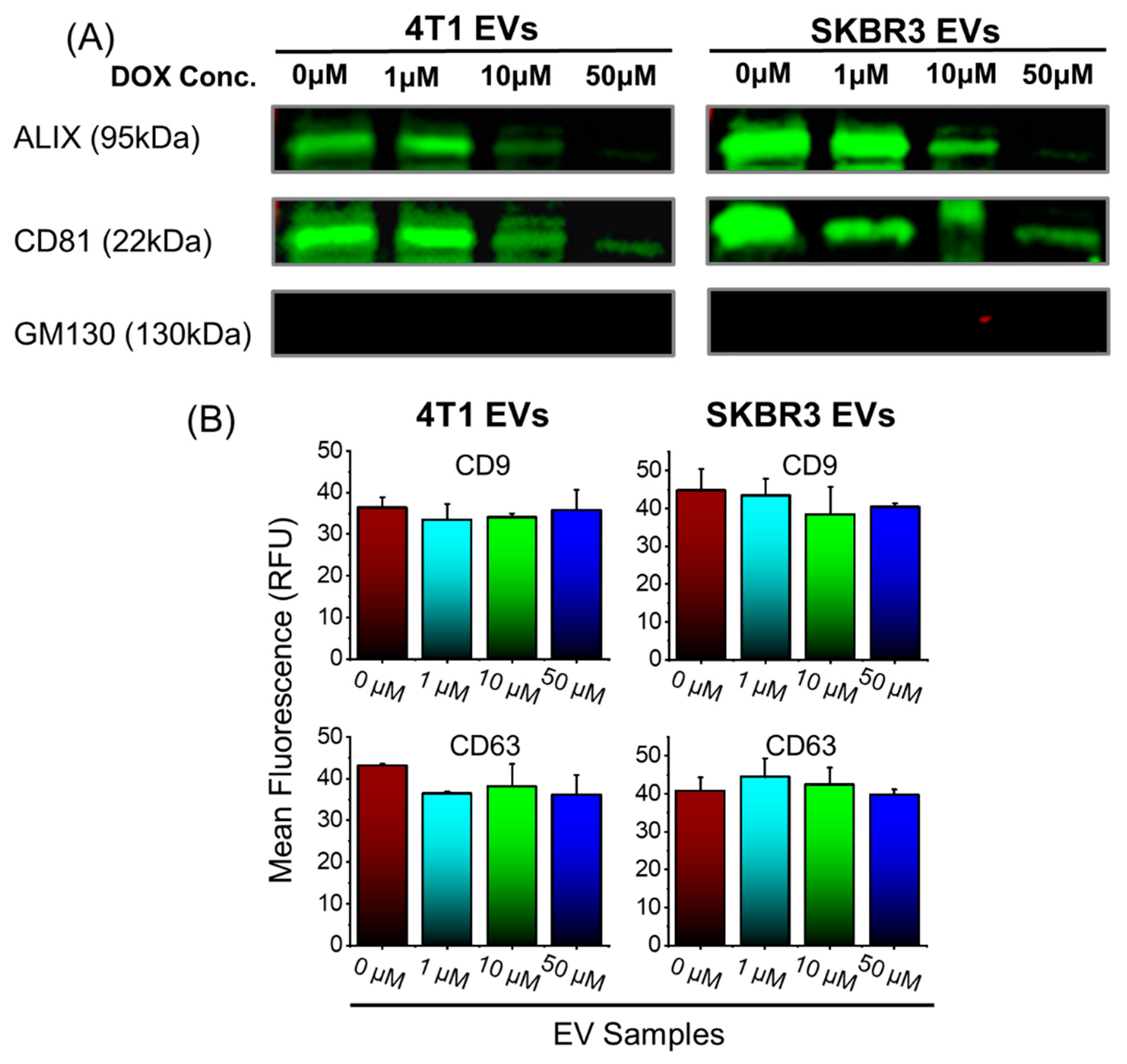Bioengineering 09 00671 g001 Bioengineering 09 00671 g001
