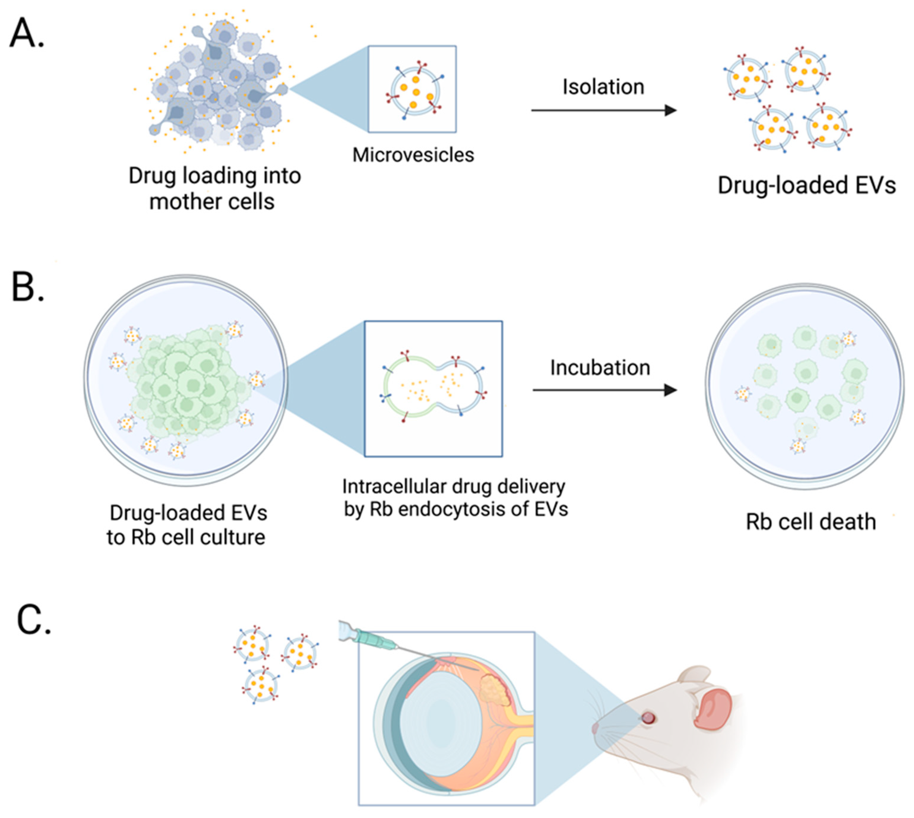 Bioengineering 09 00671 g006 Bioengineering 09 00671 g006