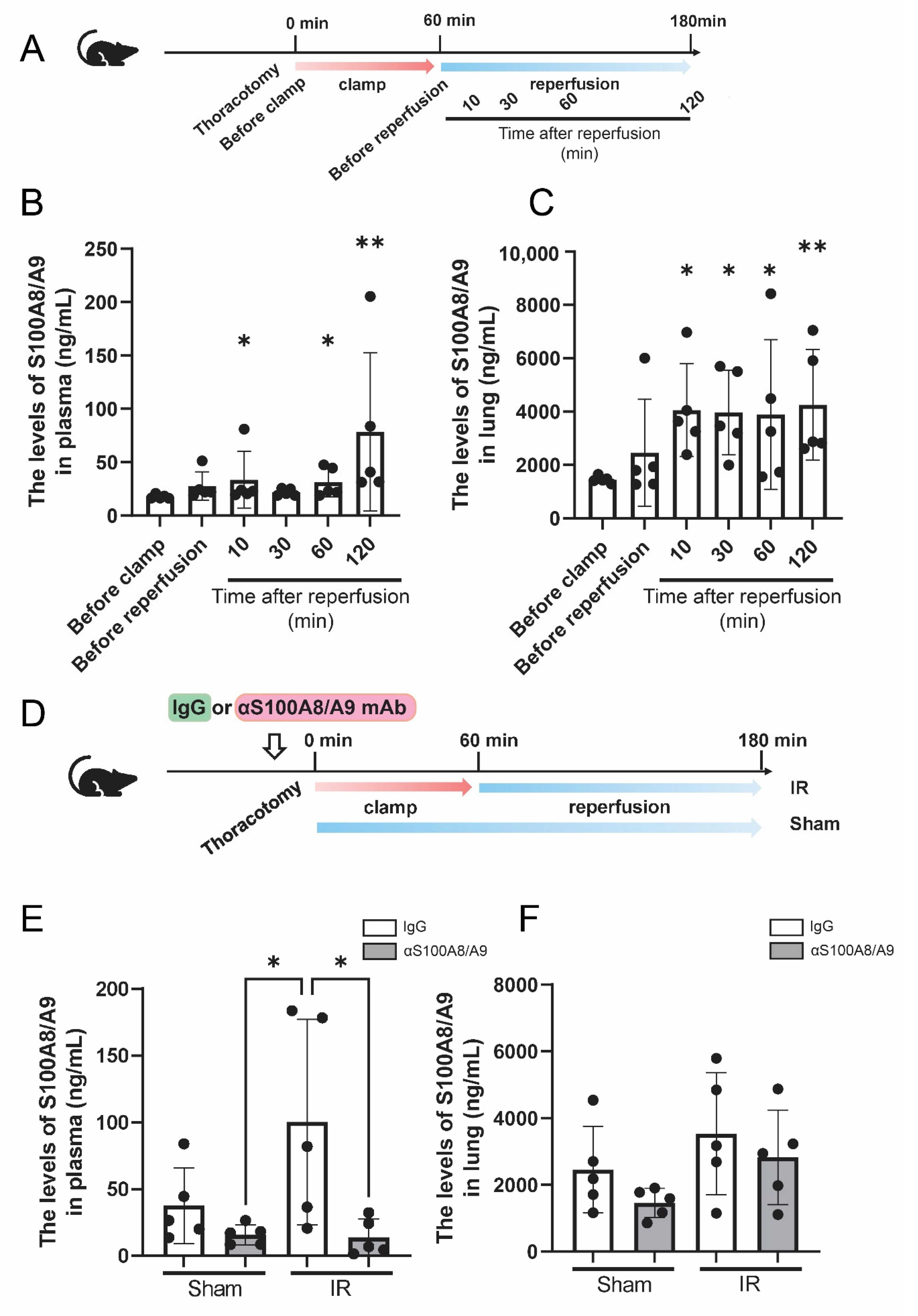 Bioengineering 09 00673 g003