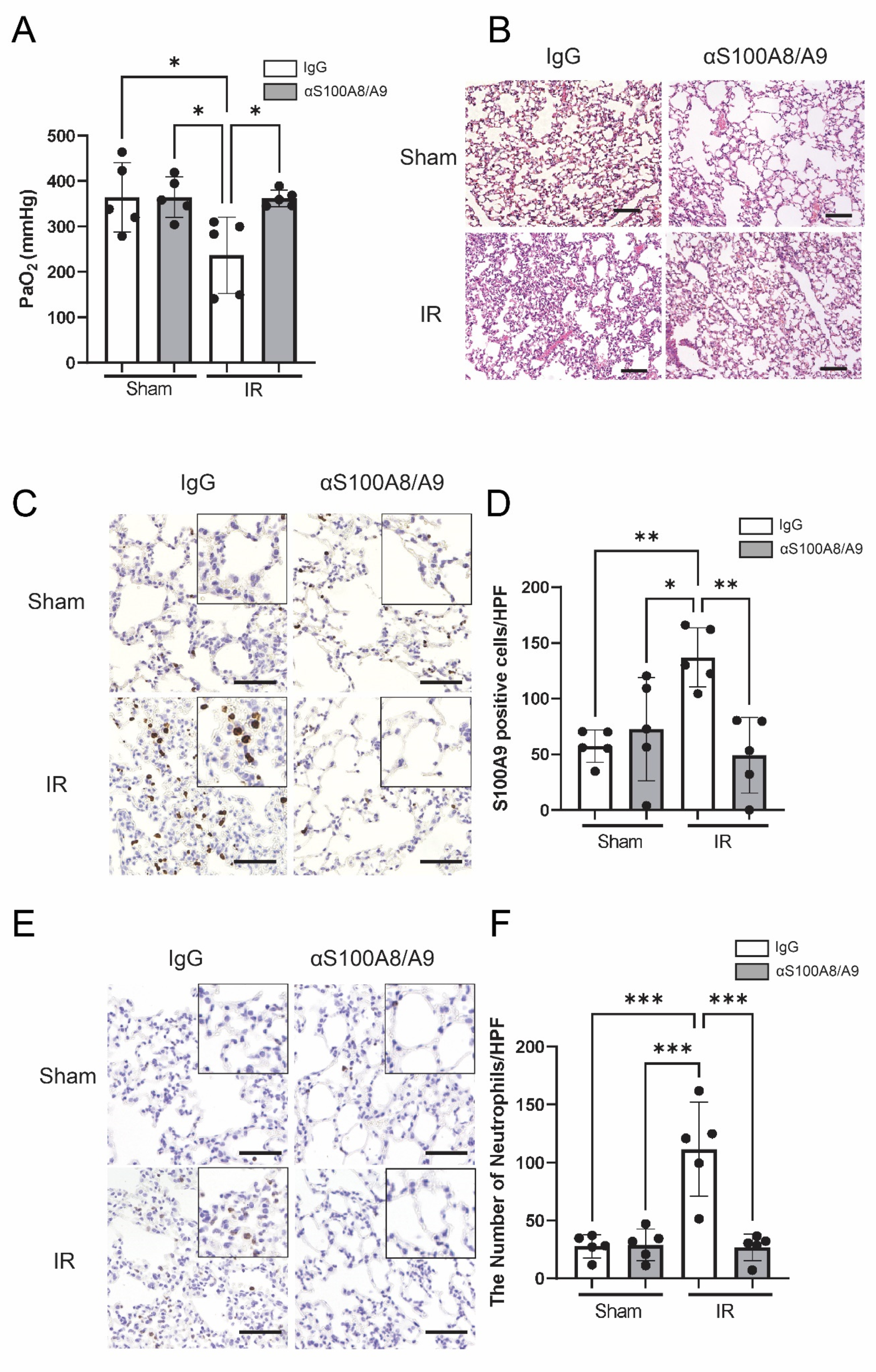 Bioengineering 09 00673 g005