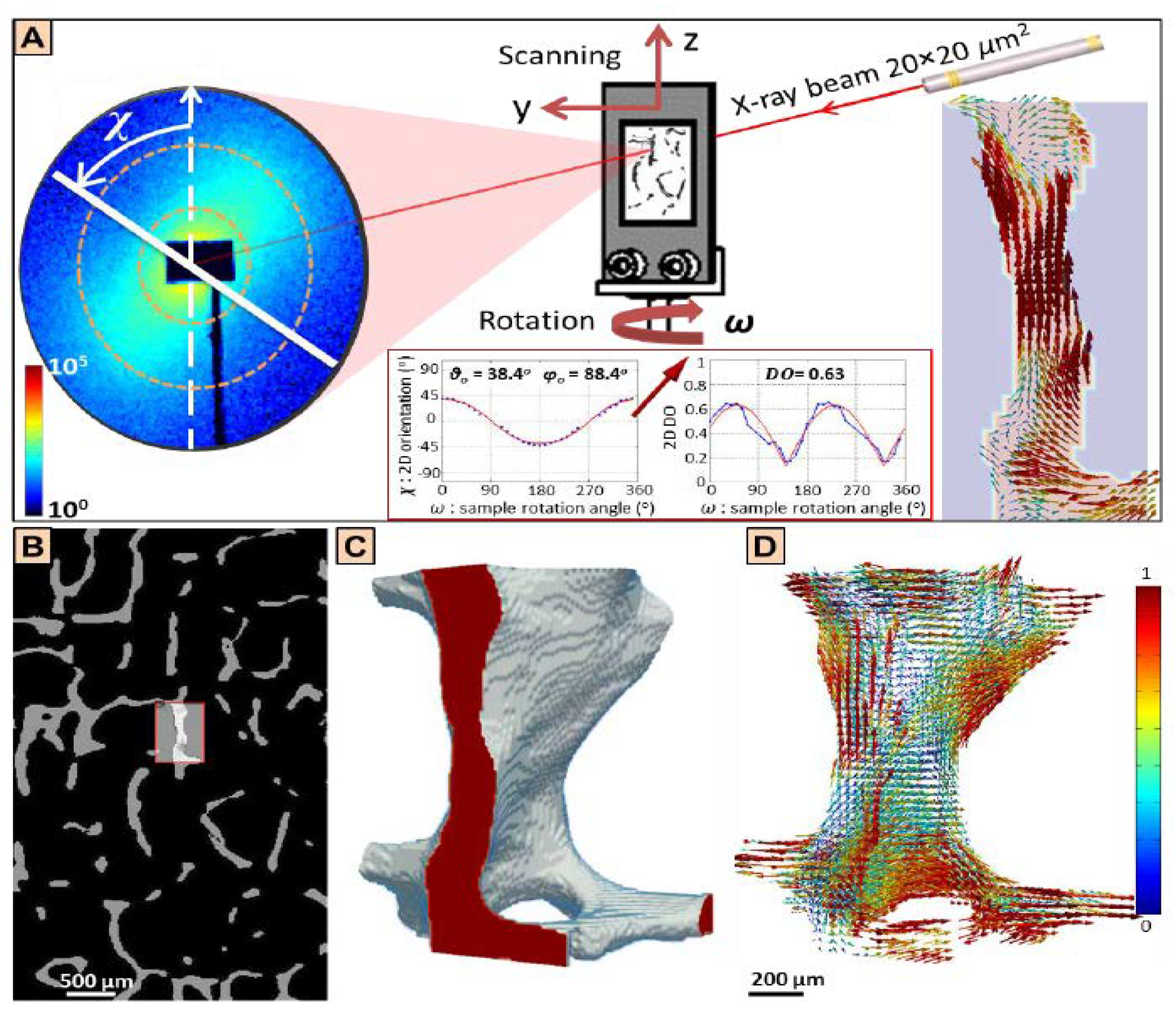 Bioengineering 09 00677 g001