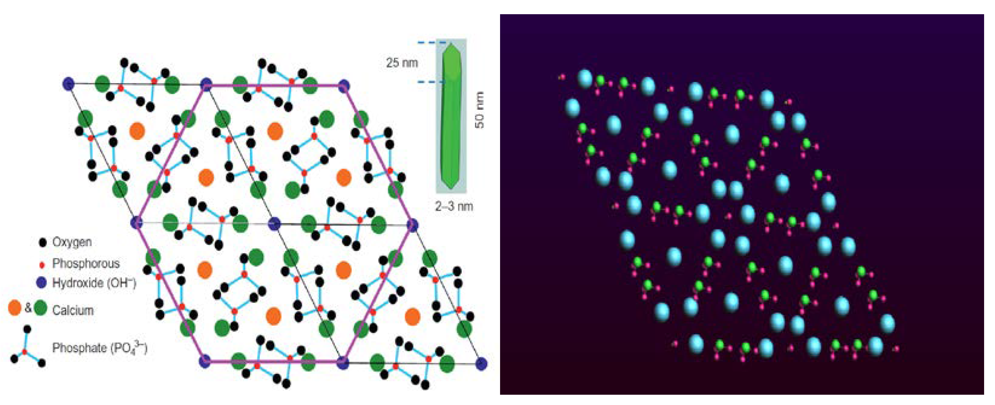 Bioengineering 09 00677 g005