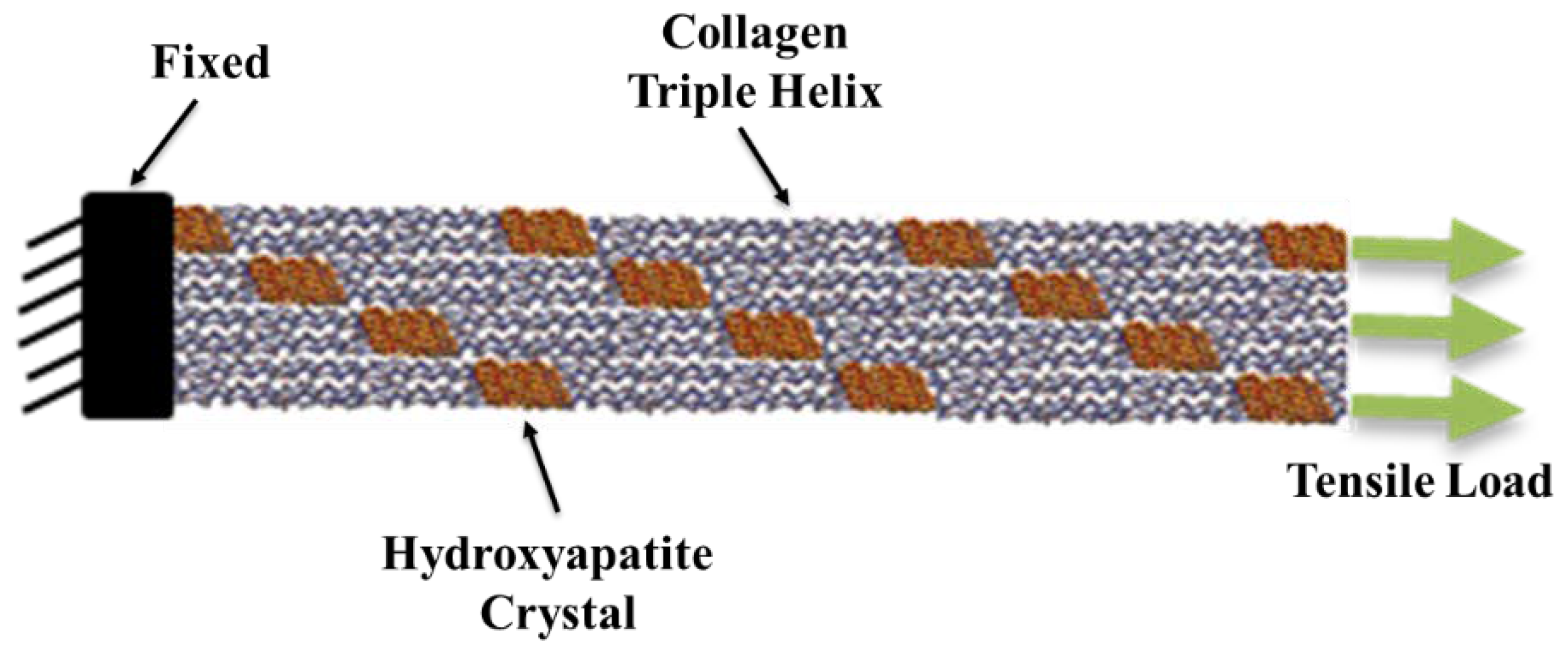 Bioengineering 09 00677 g008a
