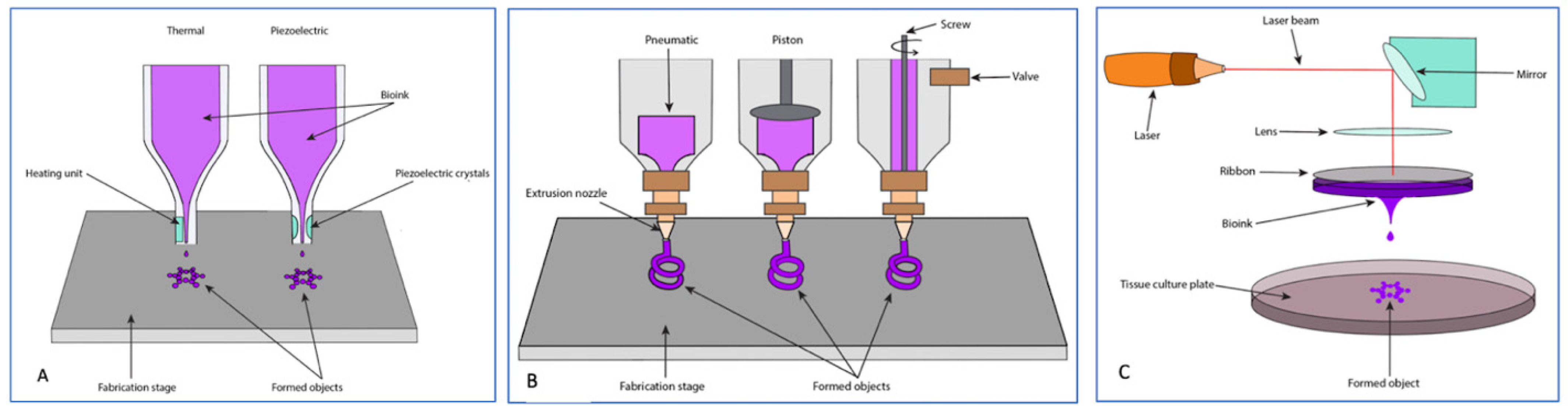 Bioengineering 09 00680 g005 Bioengineering 09 00680 g005
