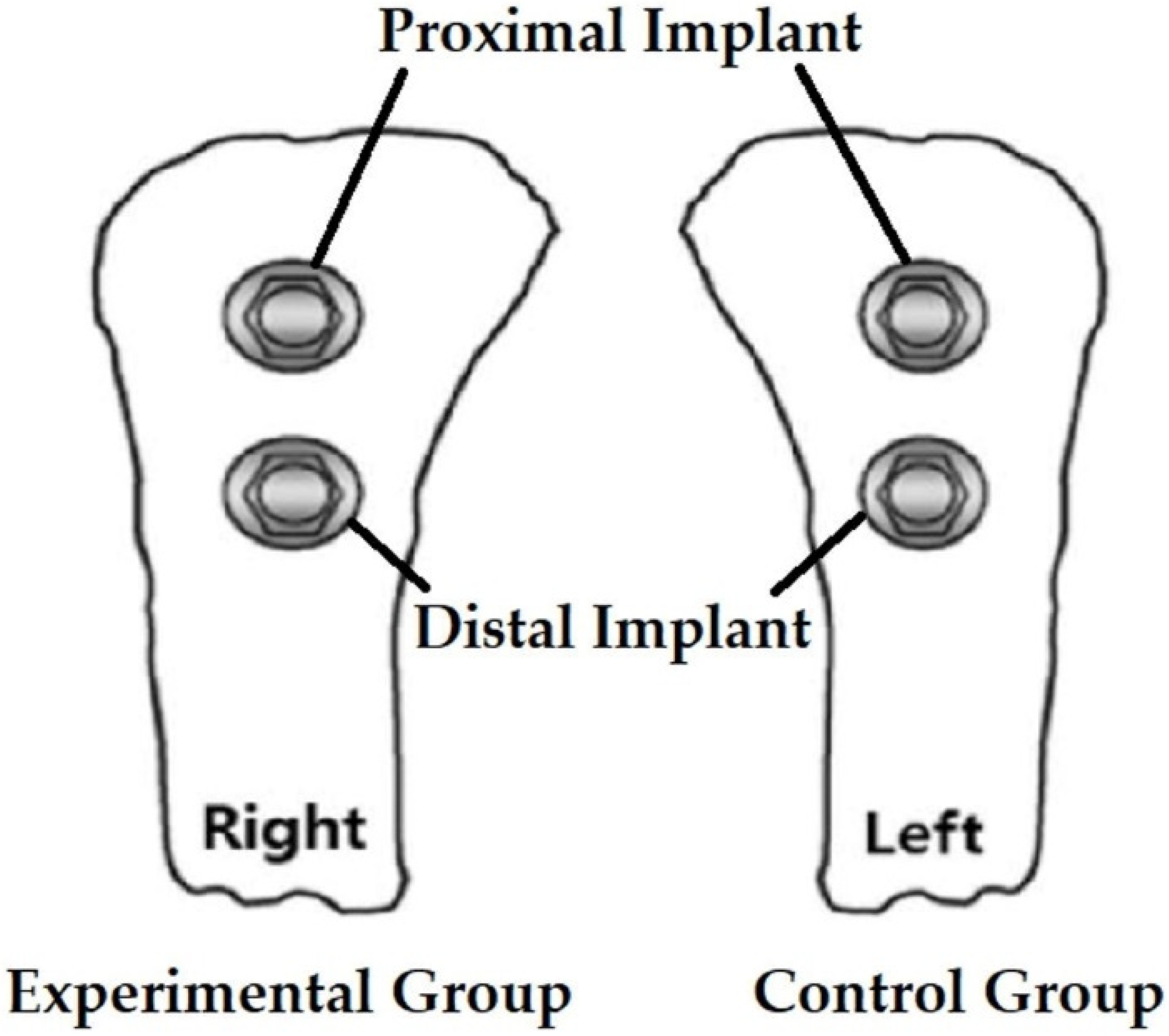 Bioengineering 09 00681 g002