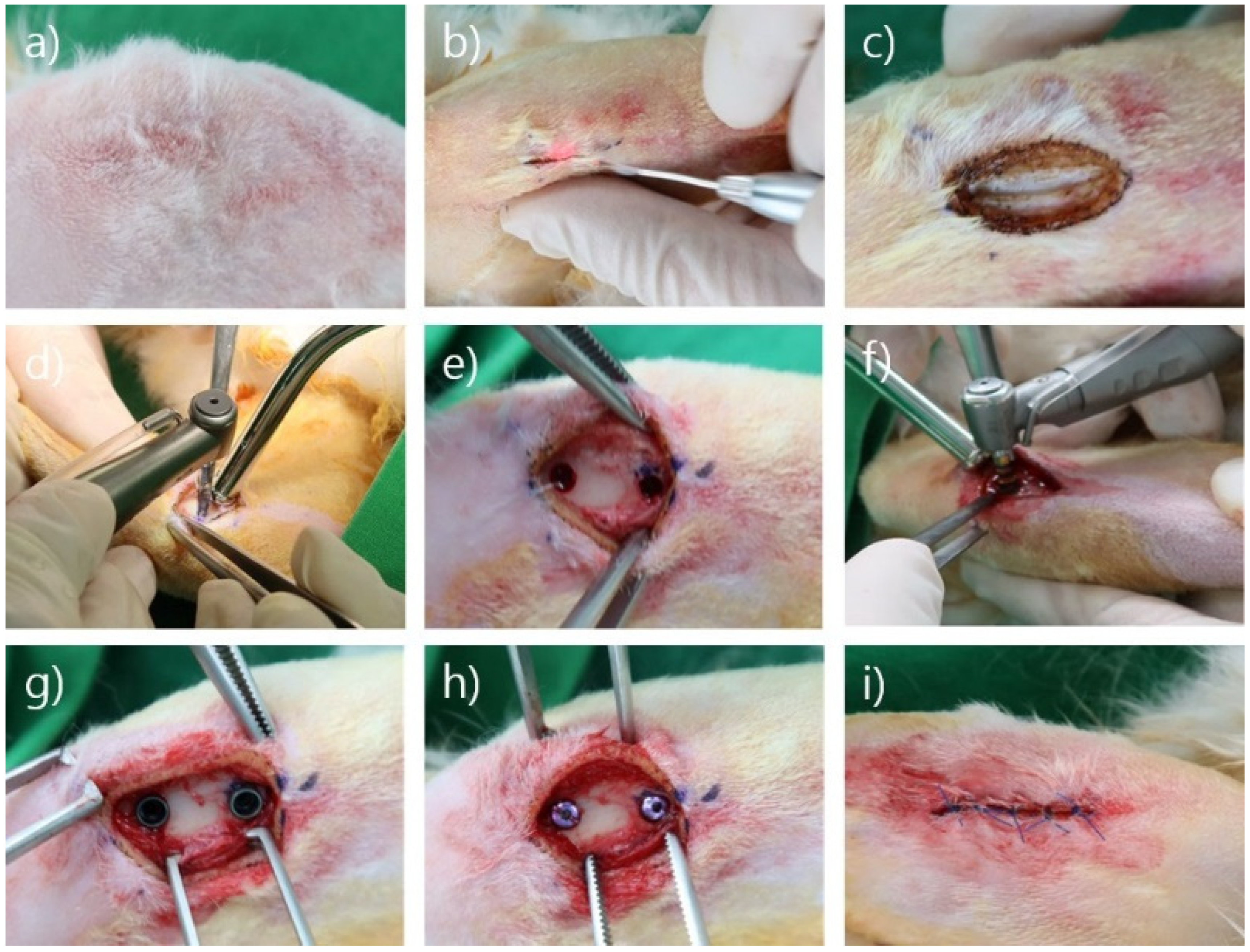 Bioengineering 09 00681 g003