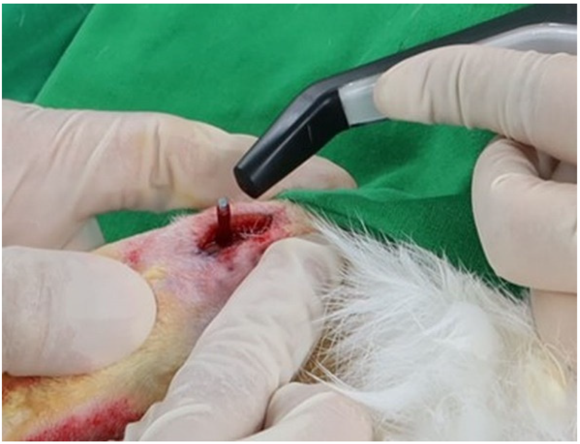 Bioengineering 09 00681 g004