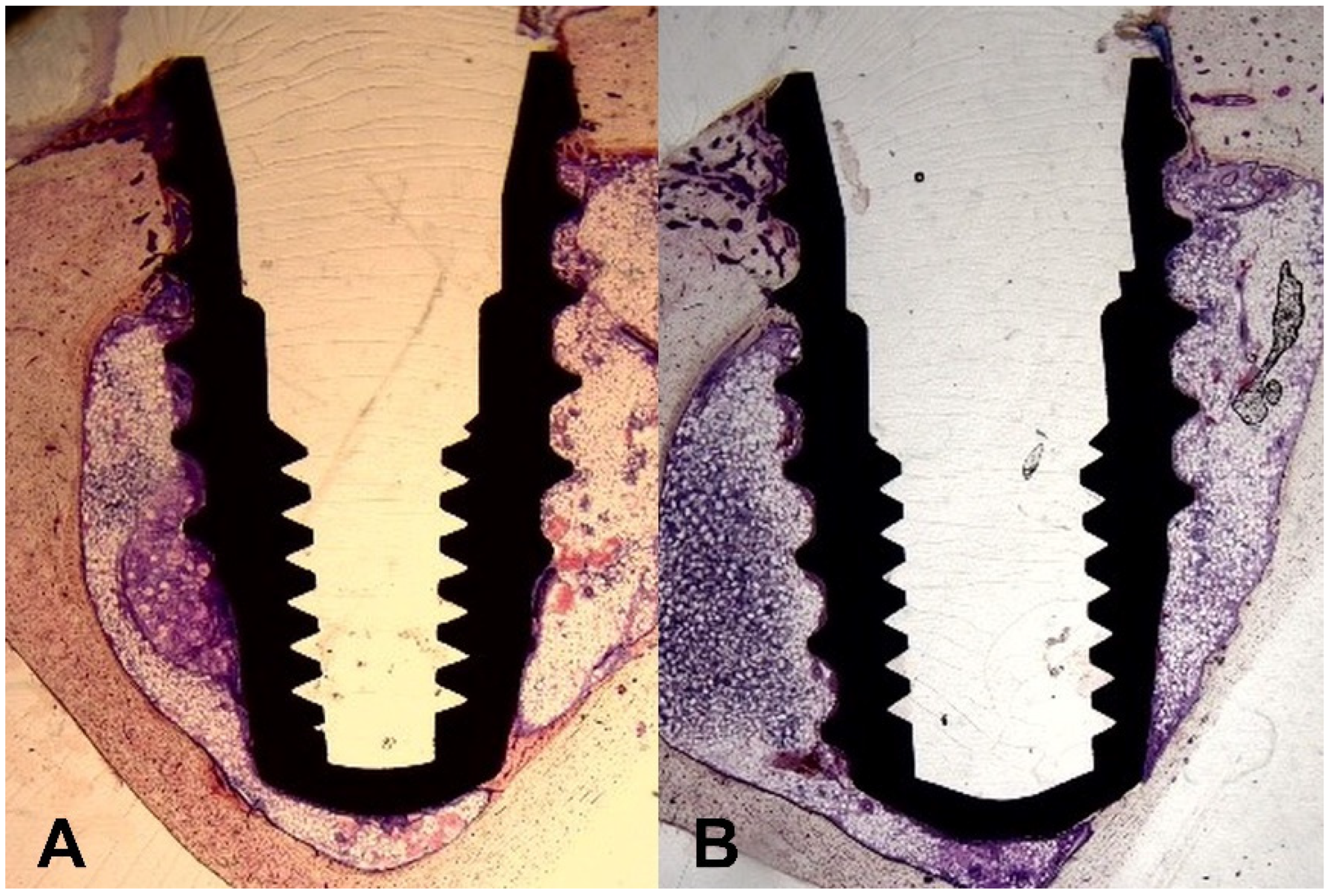 Bioengineering 09 00681 g008