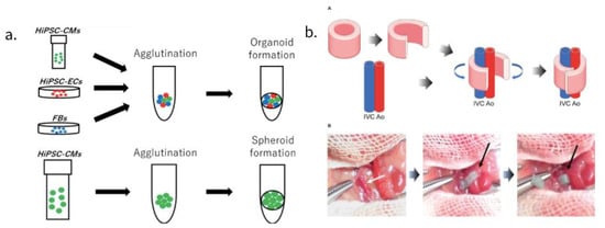 Bioengineering 09 00696 g002