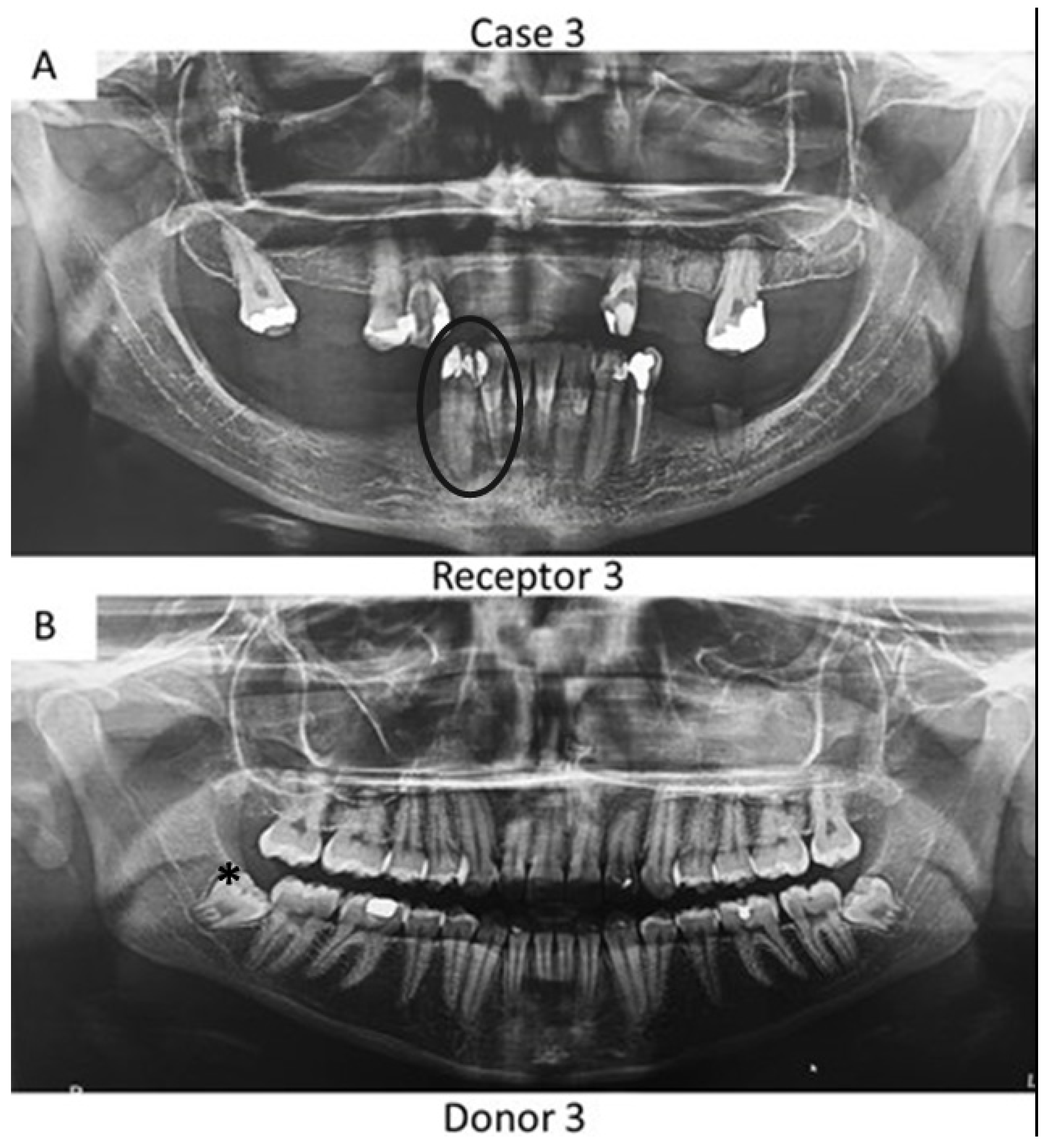 Bioengineering 09 00699 g003