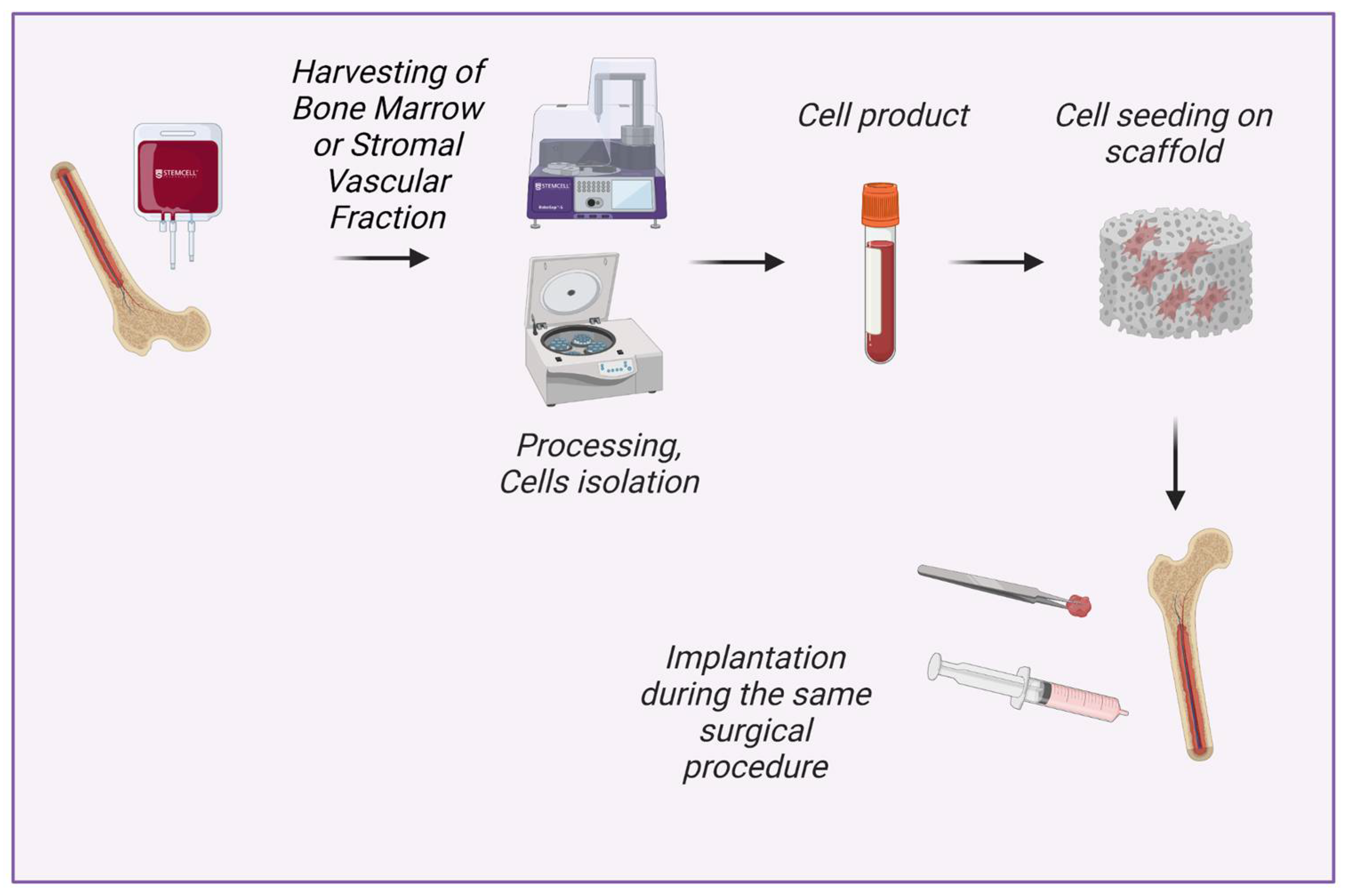 Bioengineering 09 00704 g001