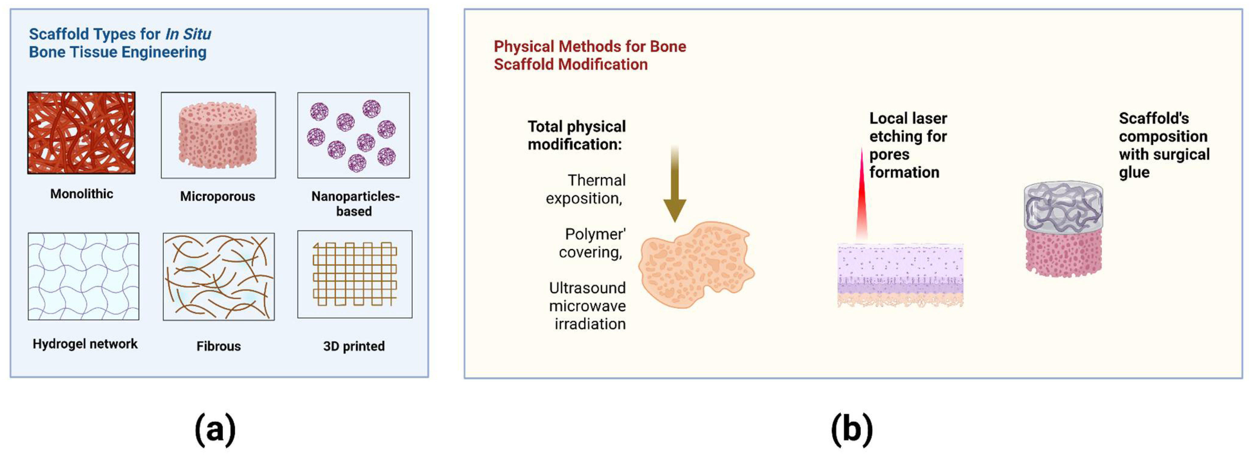 Bioengineering 09 00704 g002