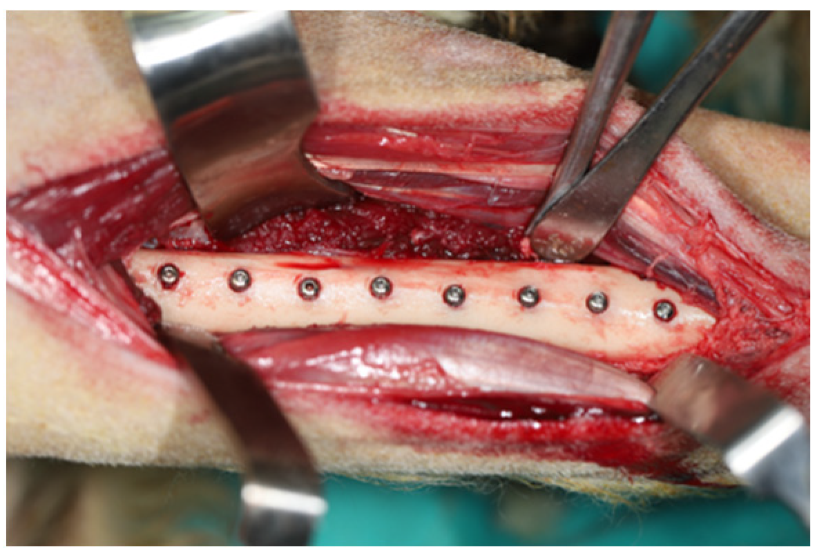 Bioengineering 09 00705 g002 Bioengineering 09 00705 g002